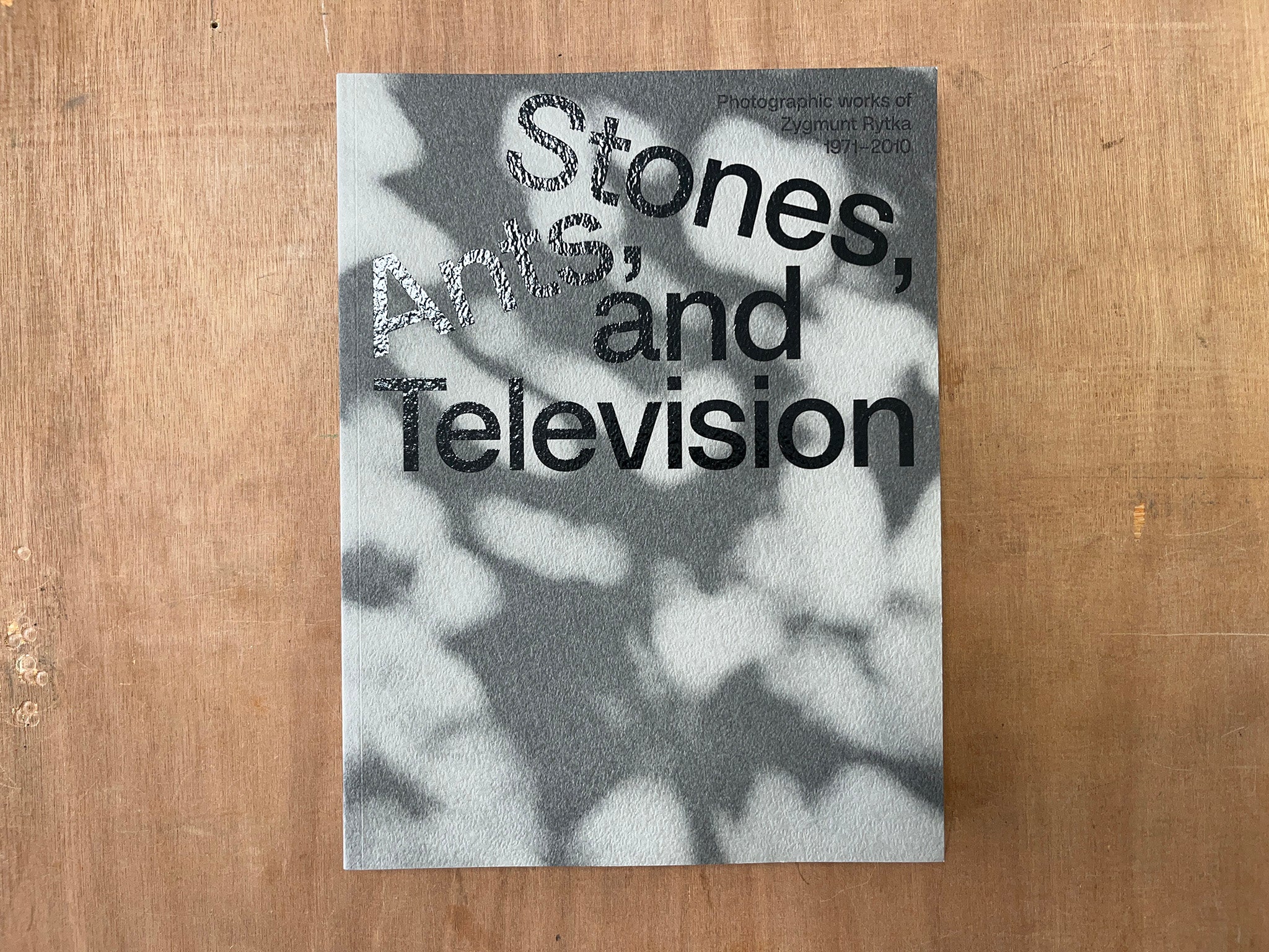 STONES, ANTS, AND TELEVISION: PHOTOGRAPHIC WORKS OF ZYGMUNT RYTKA 1971–2010 by Daniel Muzyczuk & Karol Hordziej (Eds.)
