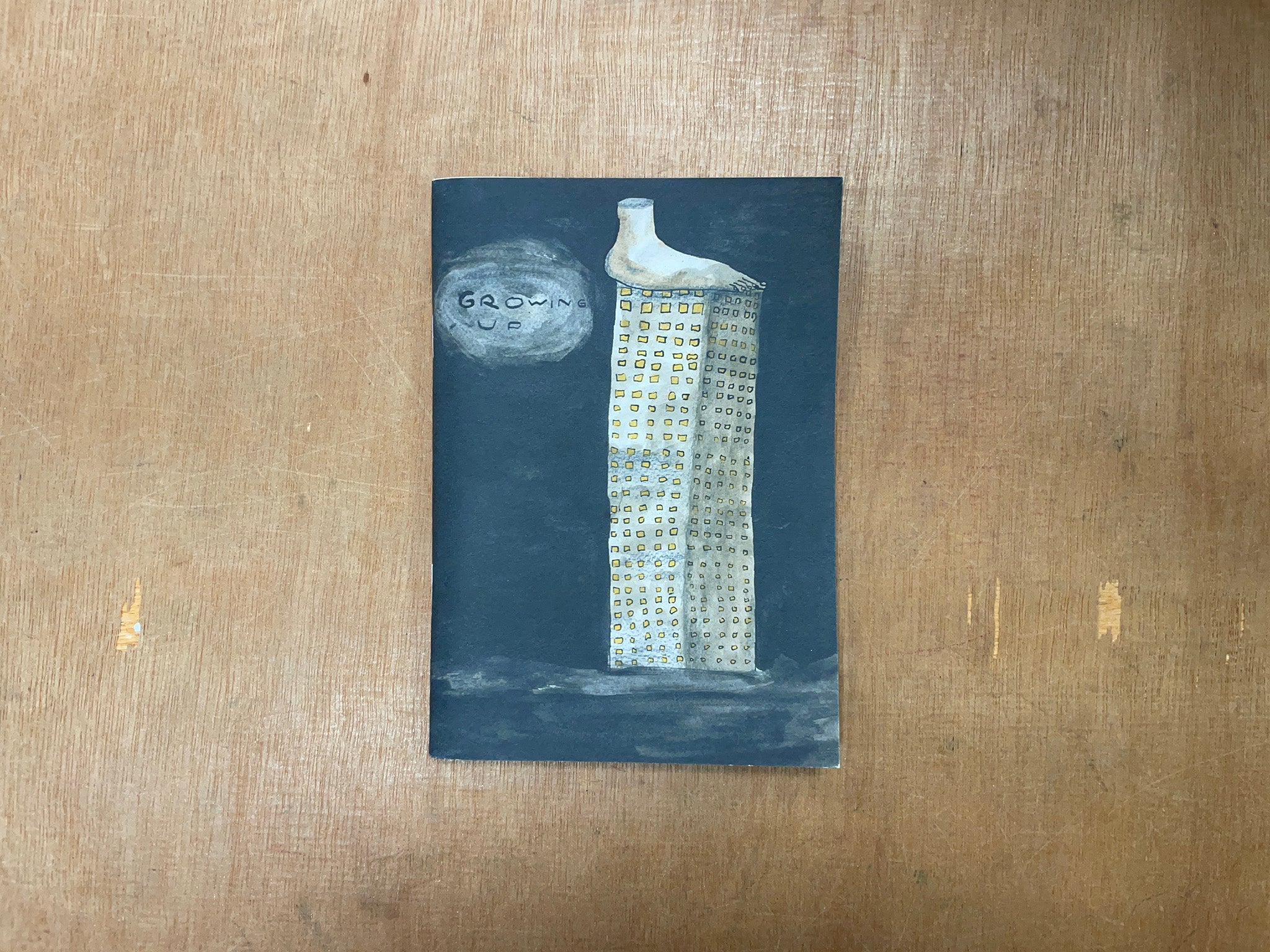 Matt O Rourke GROWING UP by Matt O'Rourke – Good Press — good books & more