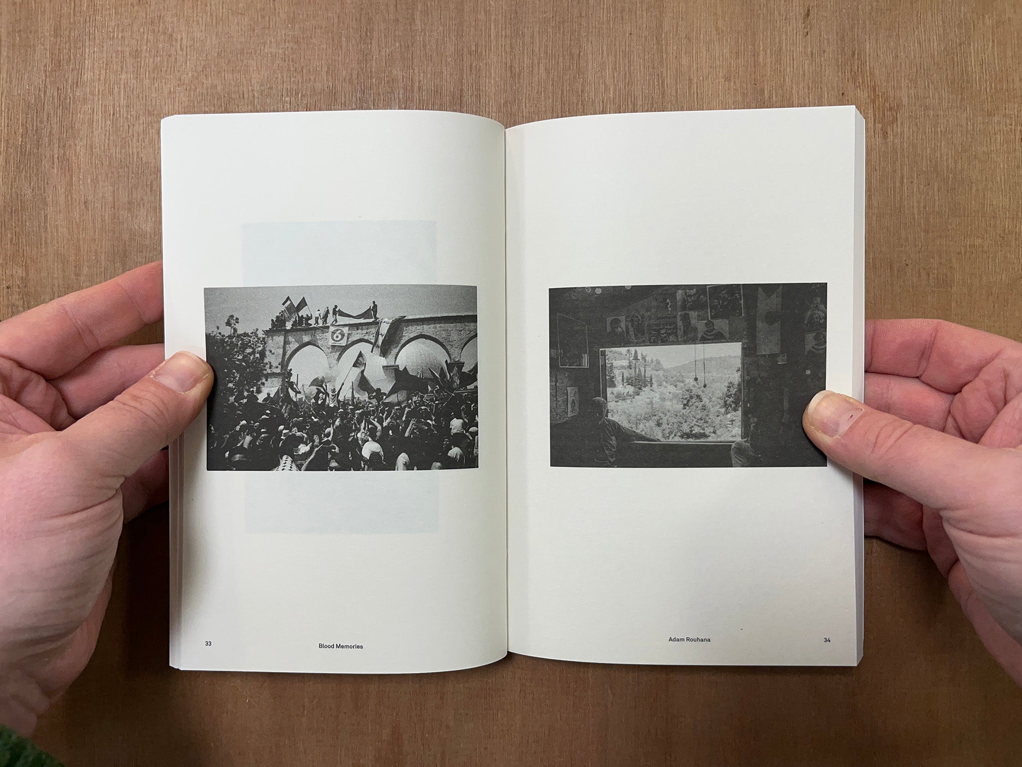 PALESTINE IS EVERYWHERE by Skye Arundhati Thomas (Ed.)