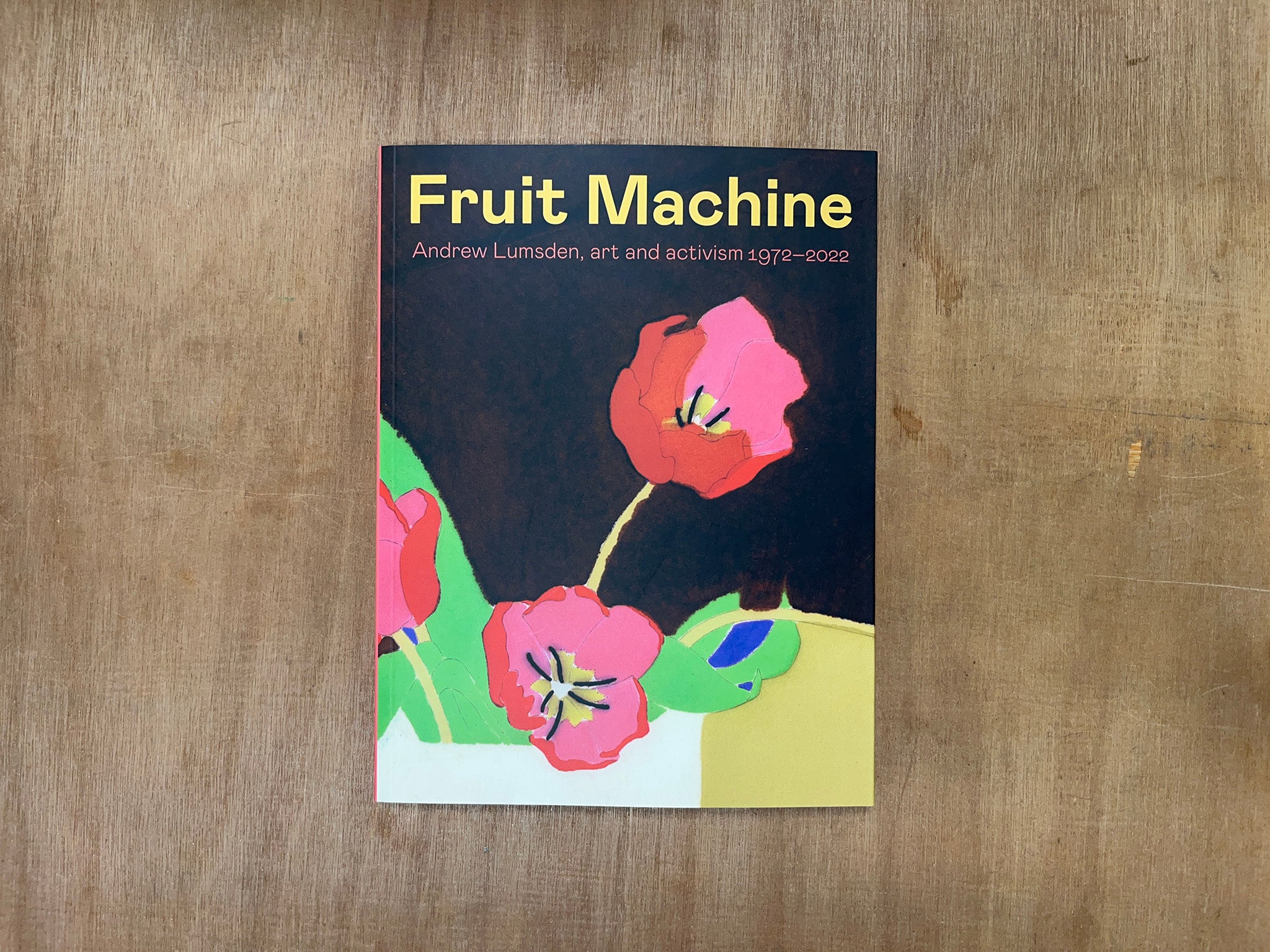 FRUIT MACHINE: ANDREW LUMSDEN, ART AND ACTIVISM 1972–2022 by Dan de la Motte & Andrew Woodyatt