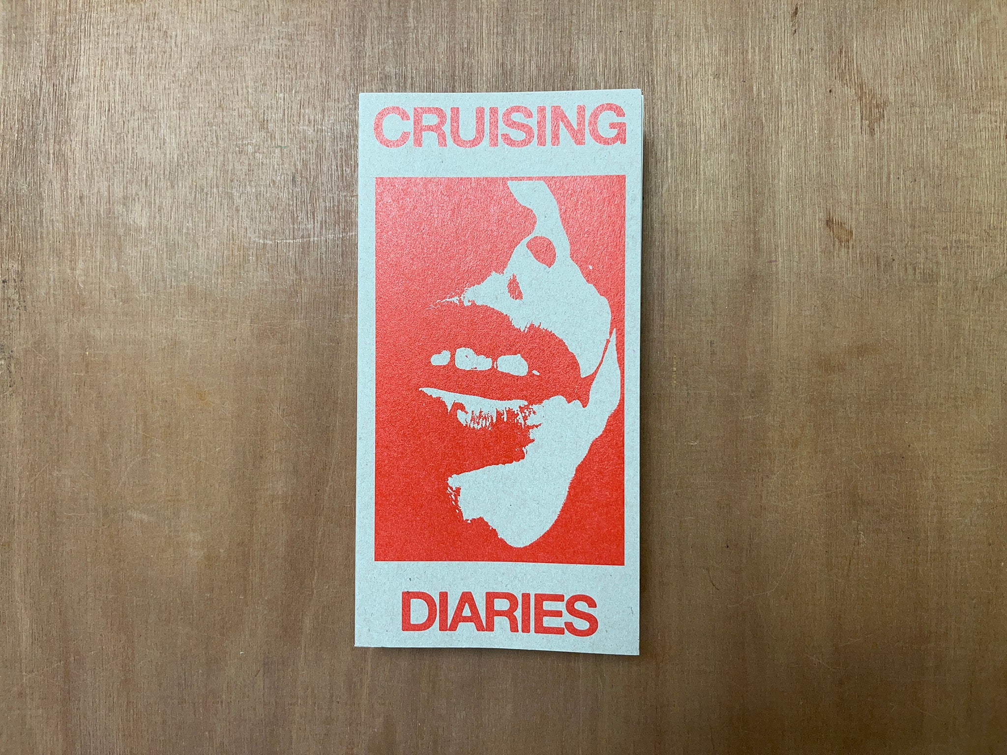 CRUISING DIARIES by Franco Dupuy