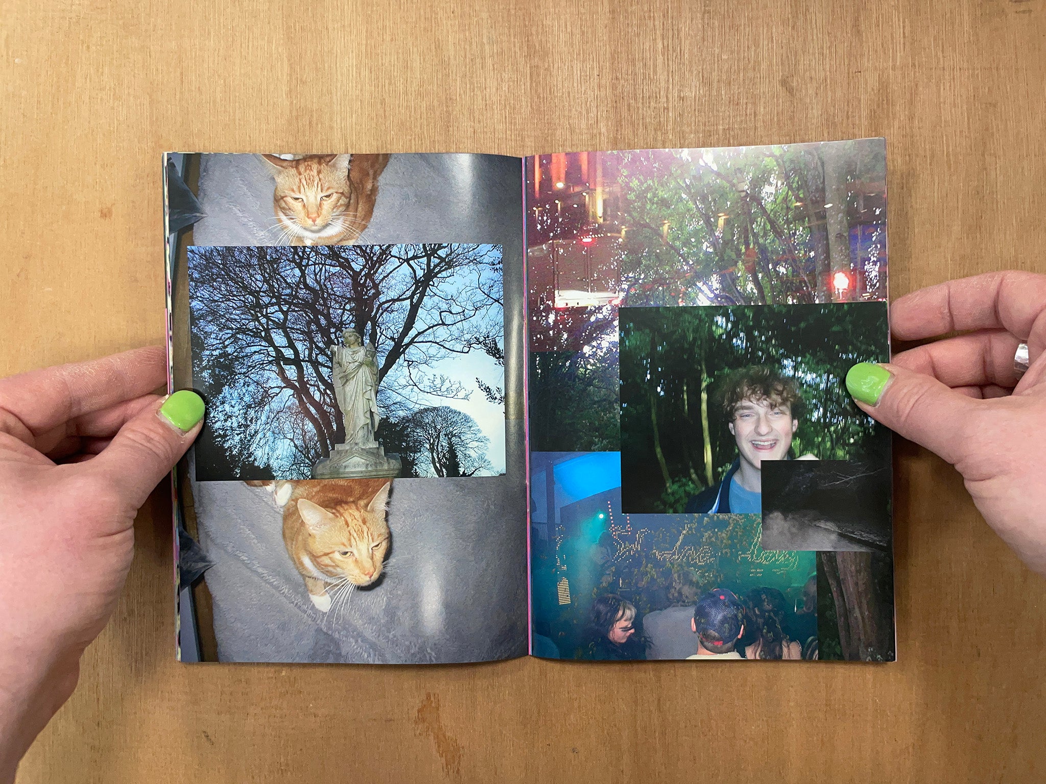 Spring Zine FLOWER SHOP PHOTO ZINE - SPRING 2024 Ed. by Amy Rat – Good Press — good ...