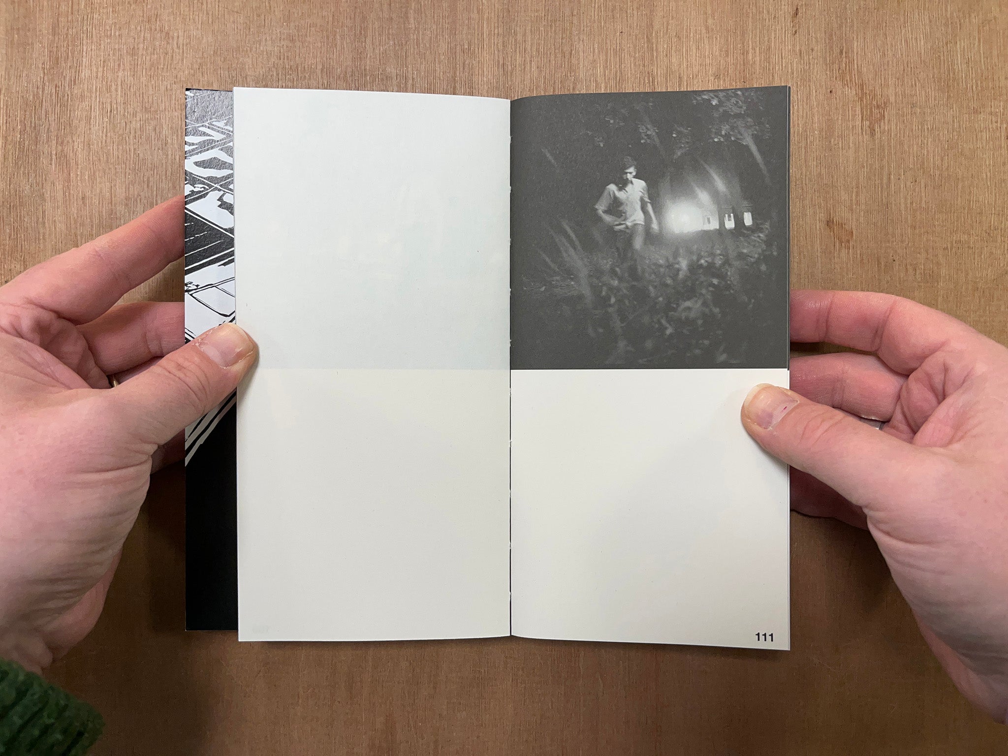 CRUISING DIARIES by Franco Dupuy