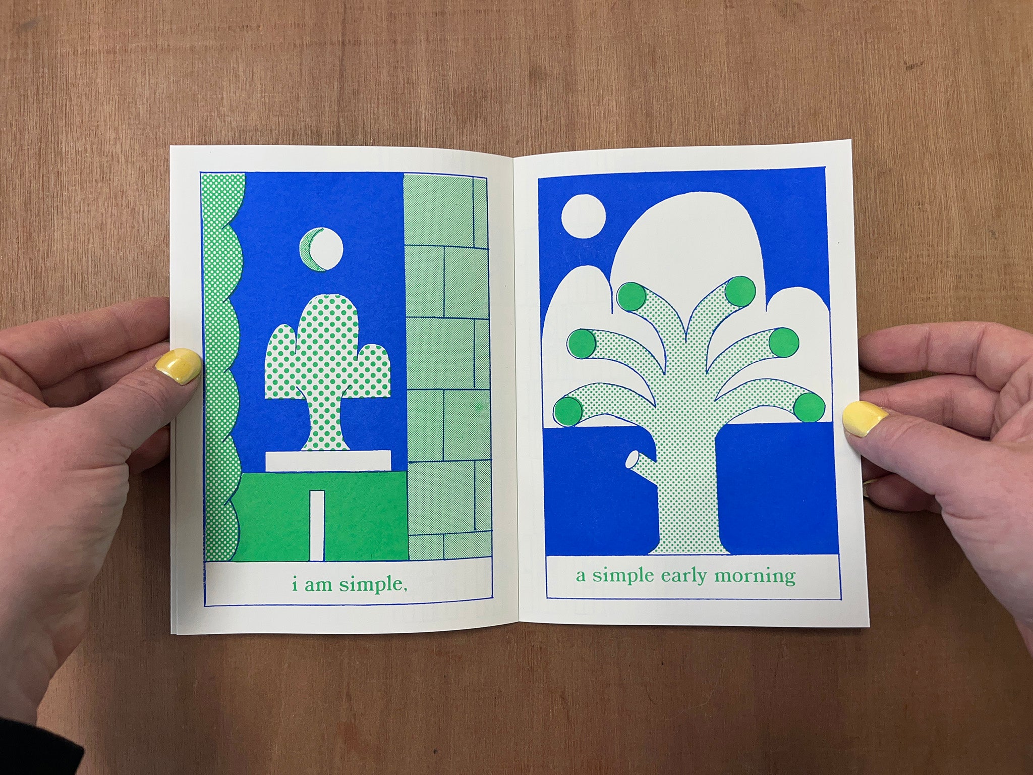IMAGINARY DAY DREAMER by Lily Clementine Orset