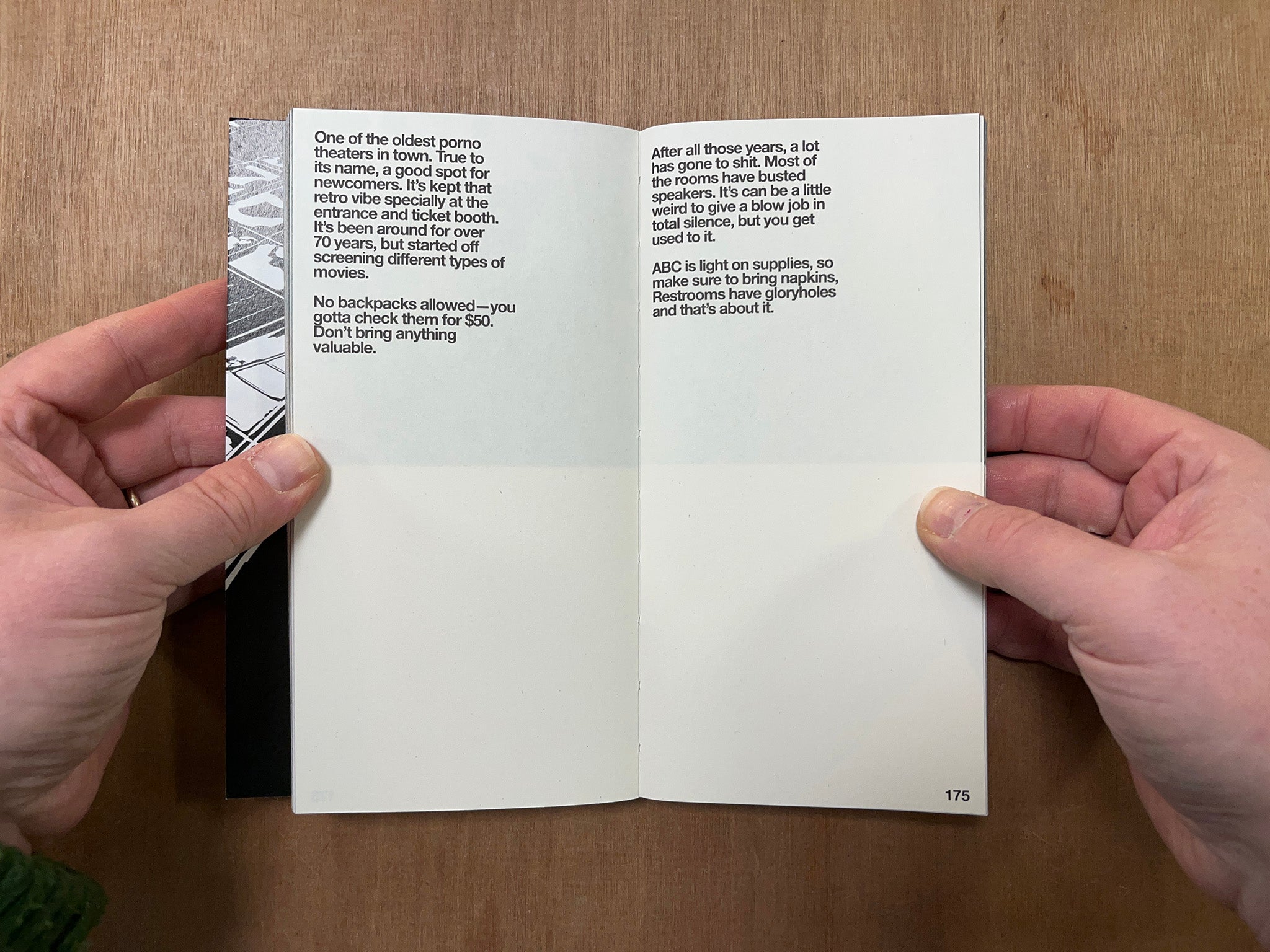 CRUISING DIARIES by Franco Dupuy