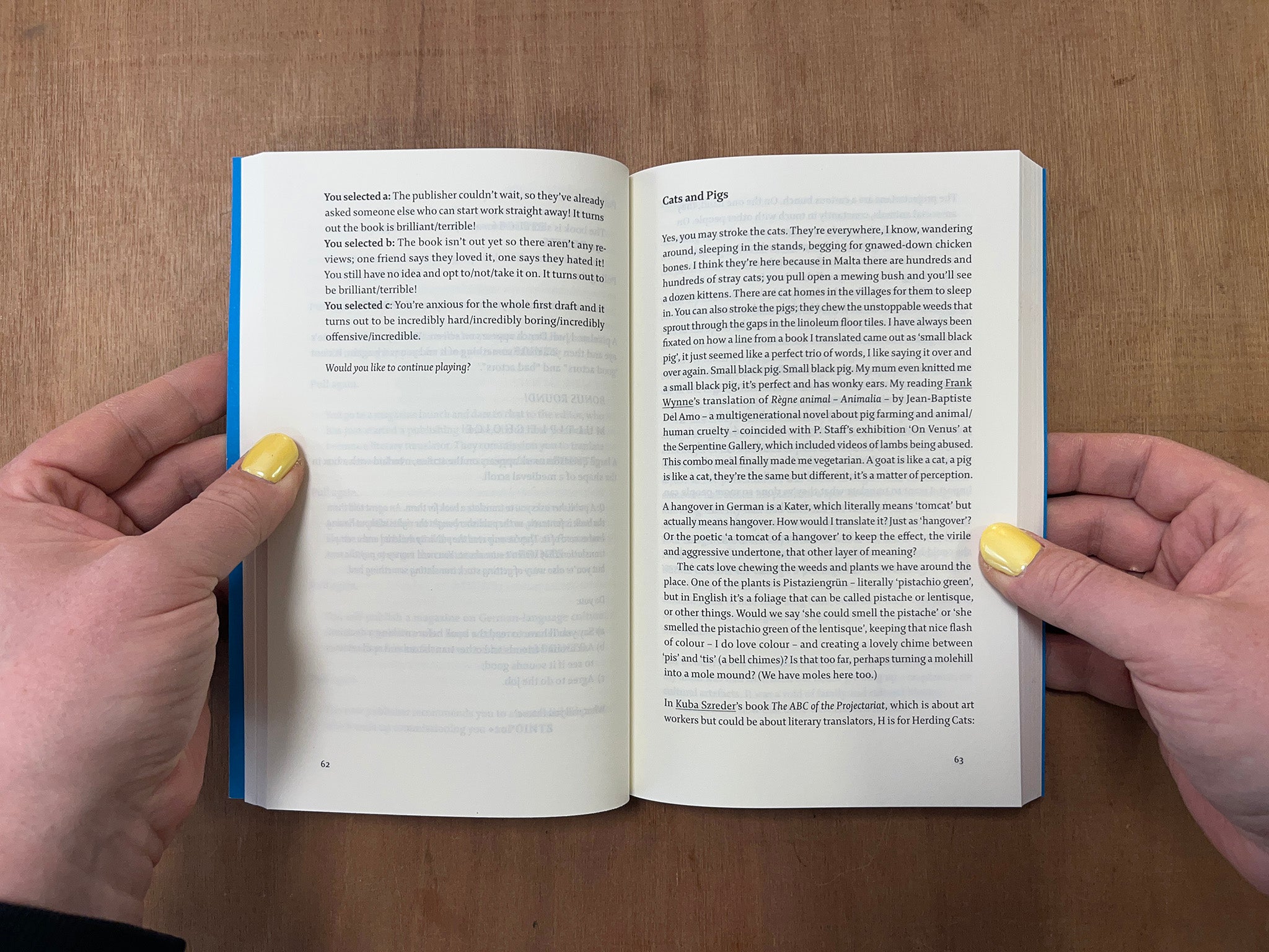FAIR: THE LIFE-ART OF TRANSLATION by Jen Calleja