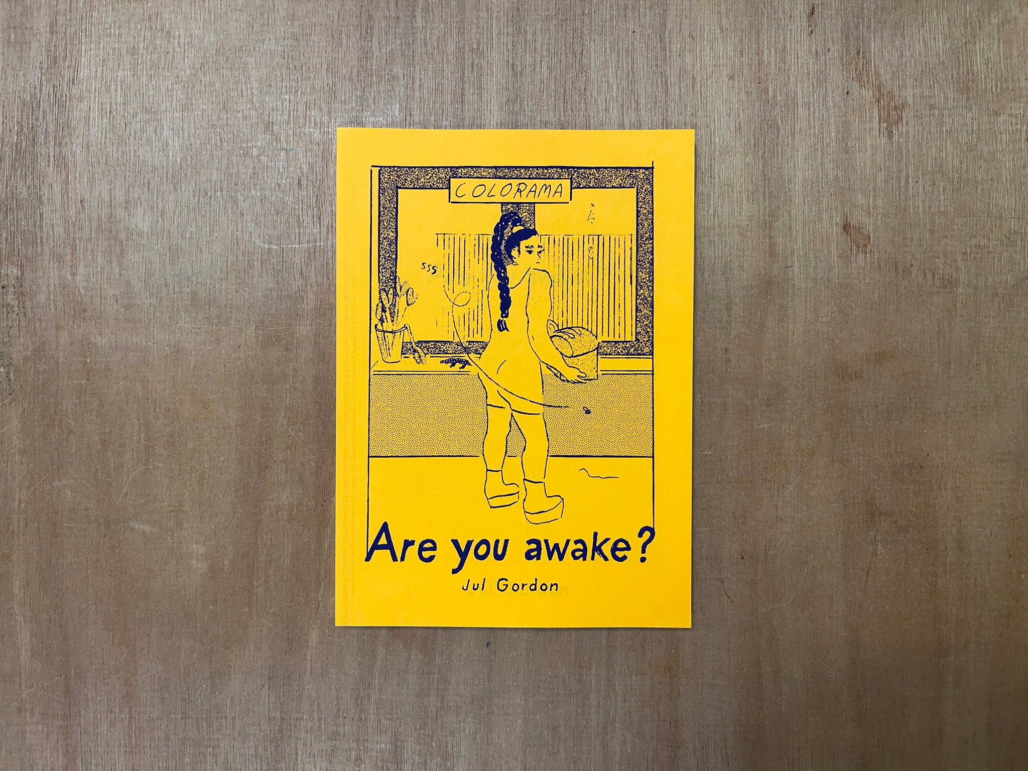 ARE YOU AWAKE by Jul Gordon