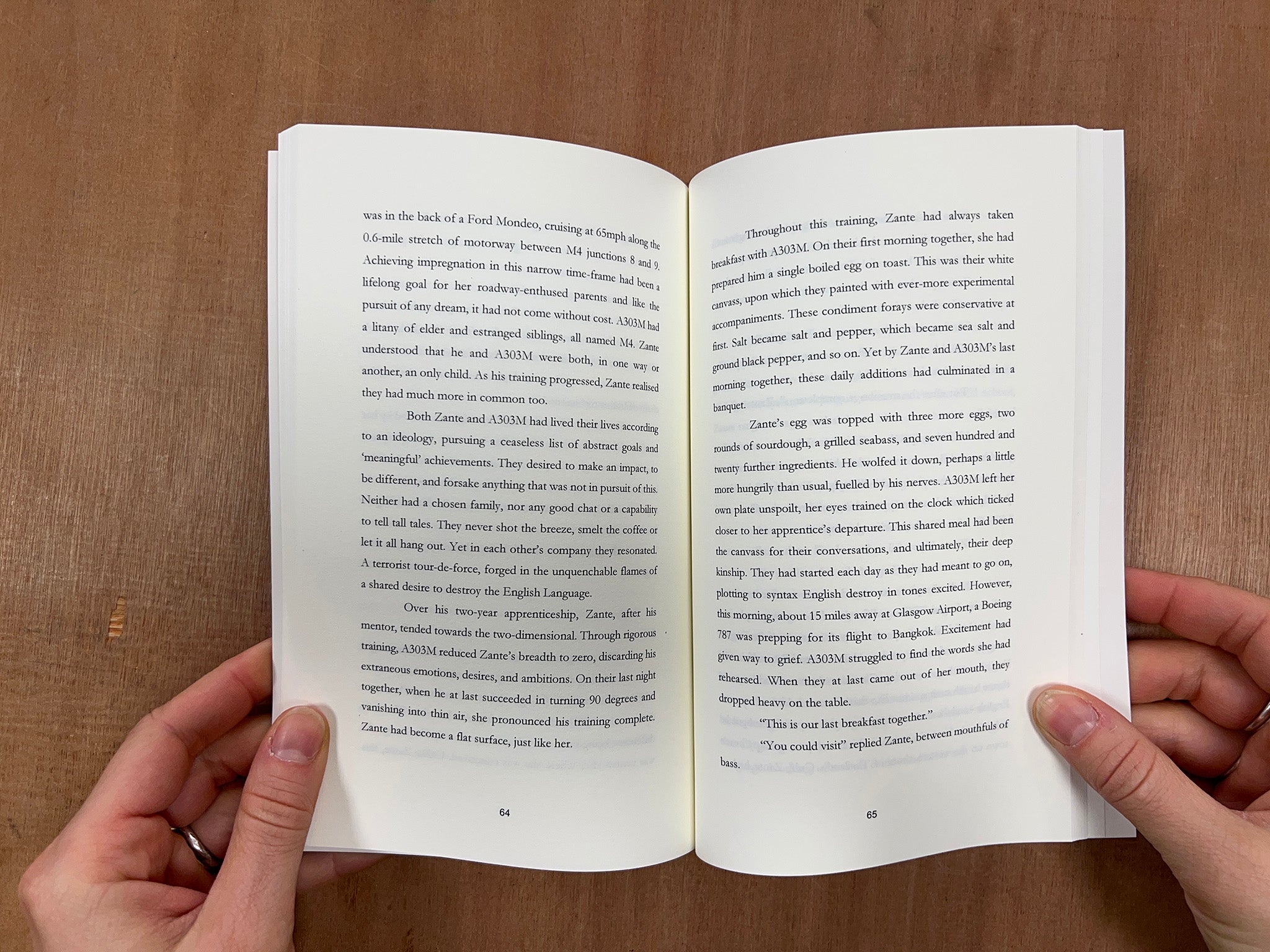 CAREER ENDING INCIDENTS by Grace Edwards