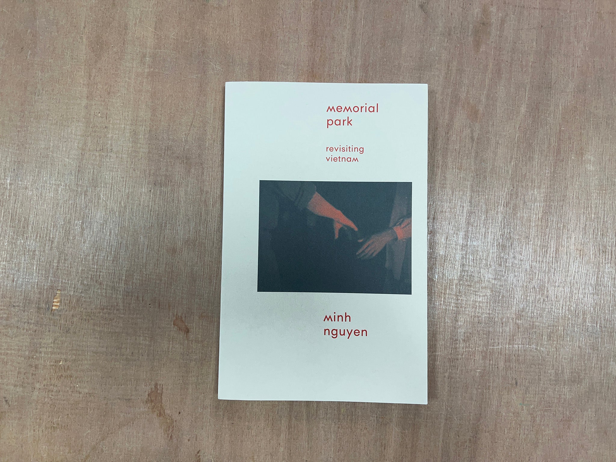 MEMORIAL PARK: REVISITING VIETNAM by Minh Nguyen