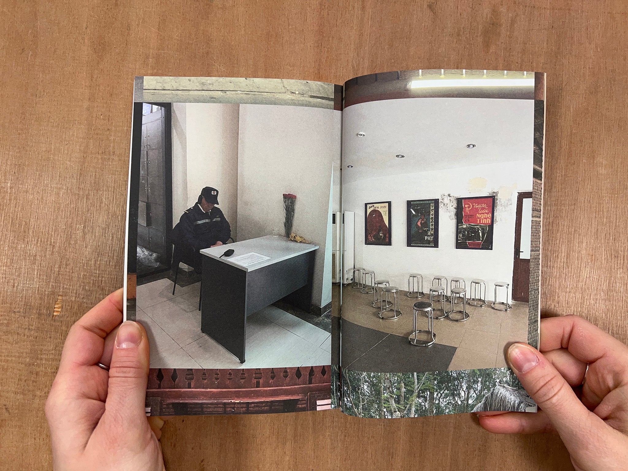 MEMORIAL PARK: REVISITING VIETNAM by Minh Nguyen