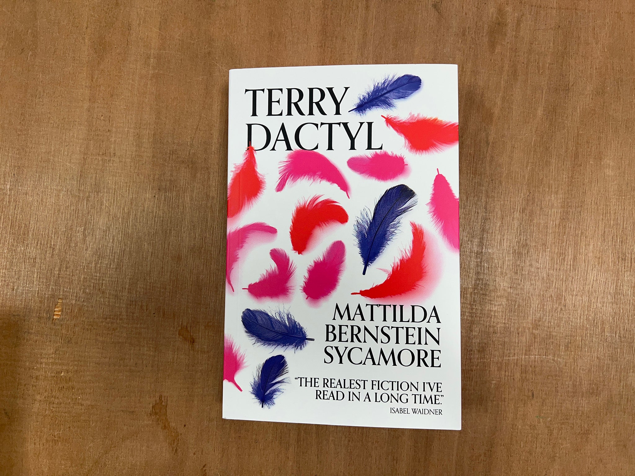 TERRY DACTYL by Mattilda Bernstein Sycamore