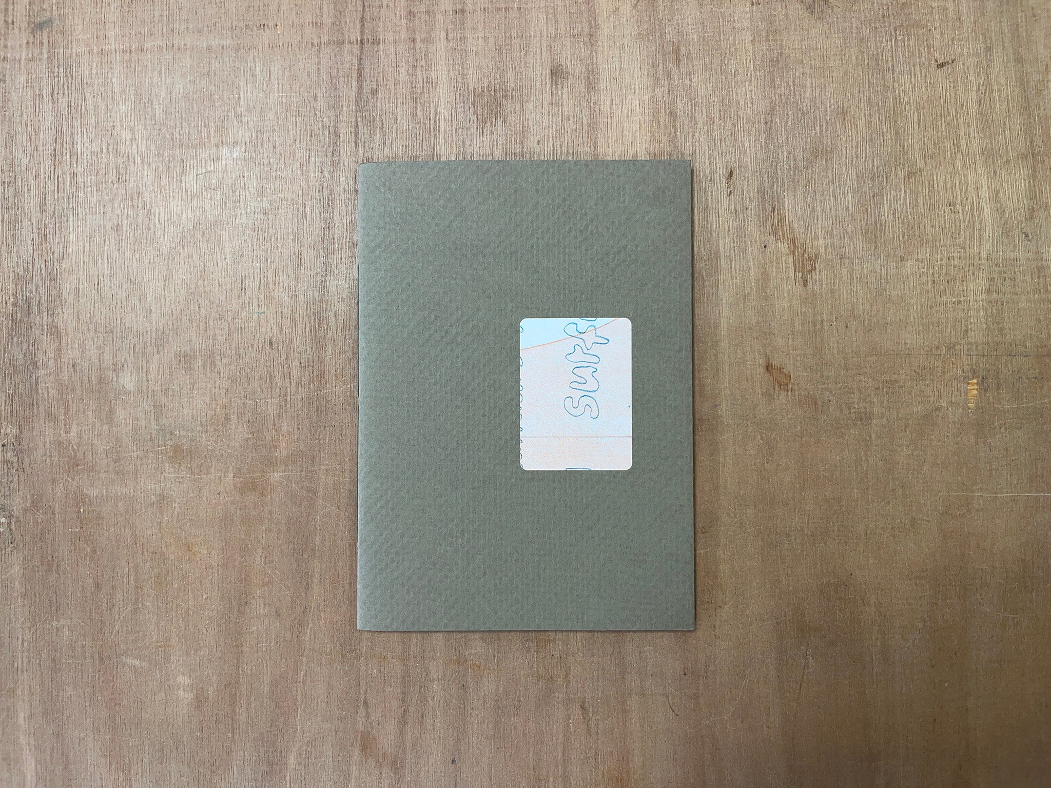SURFACING by Esther McManus