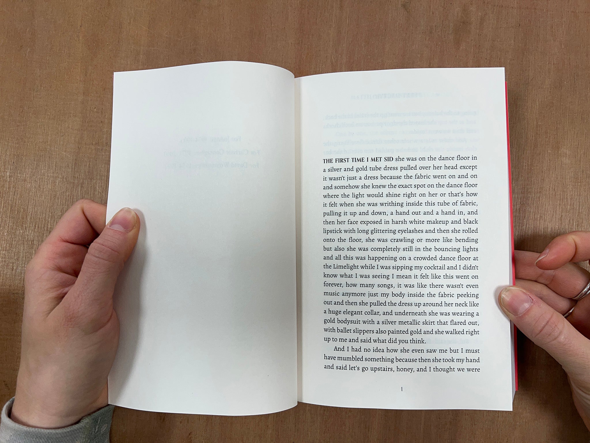 TERRY DACTYL by Mattilda Bernstein Sycamore