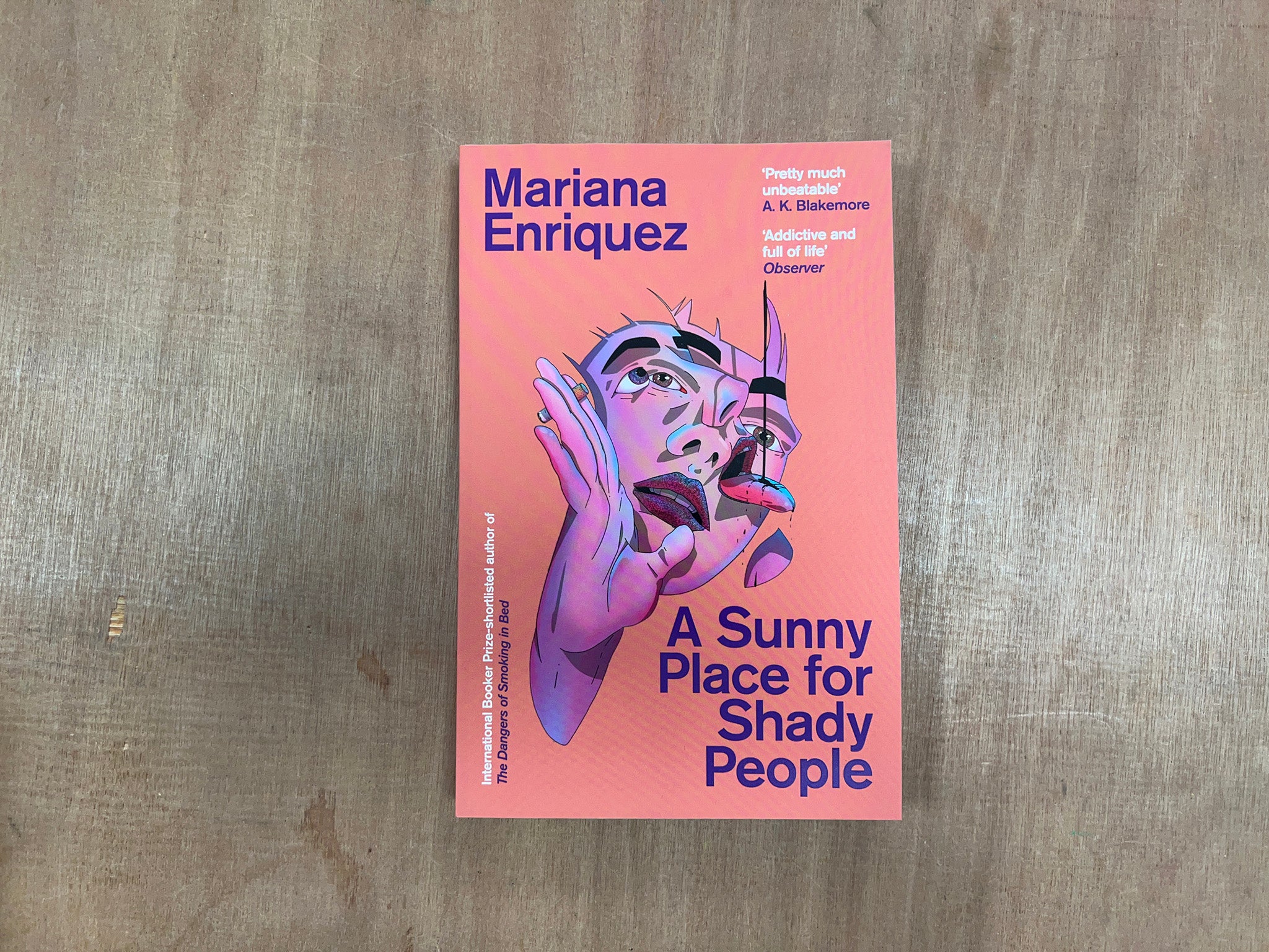 A SUNNY PLACE FOR SHADY PEOPLE by Mariana Enriquez