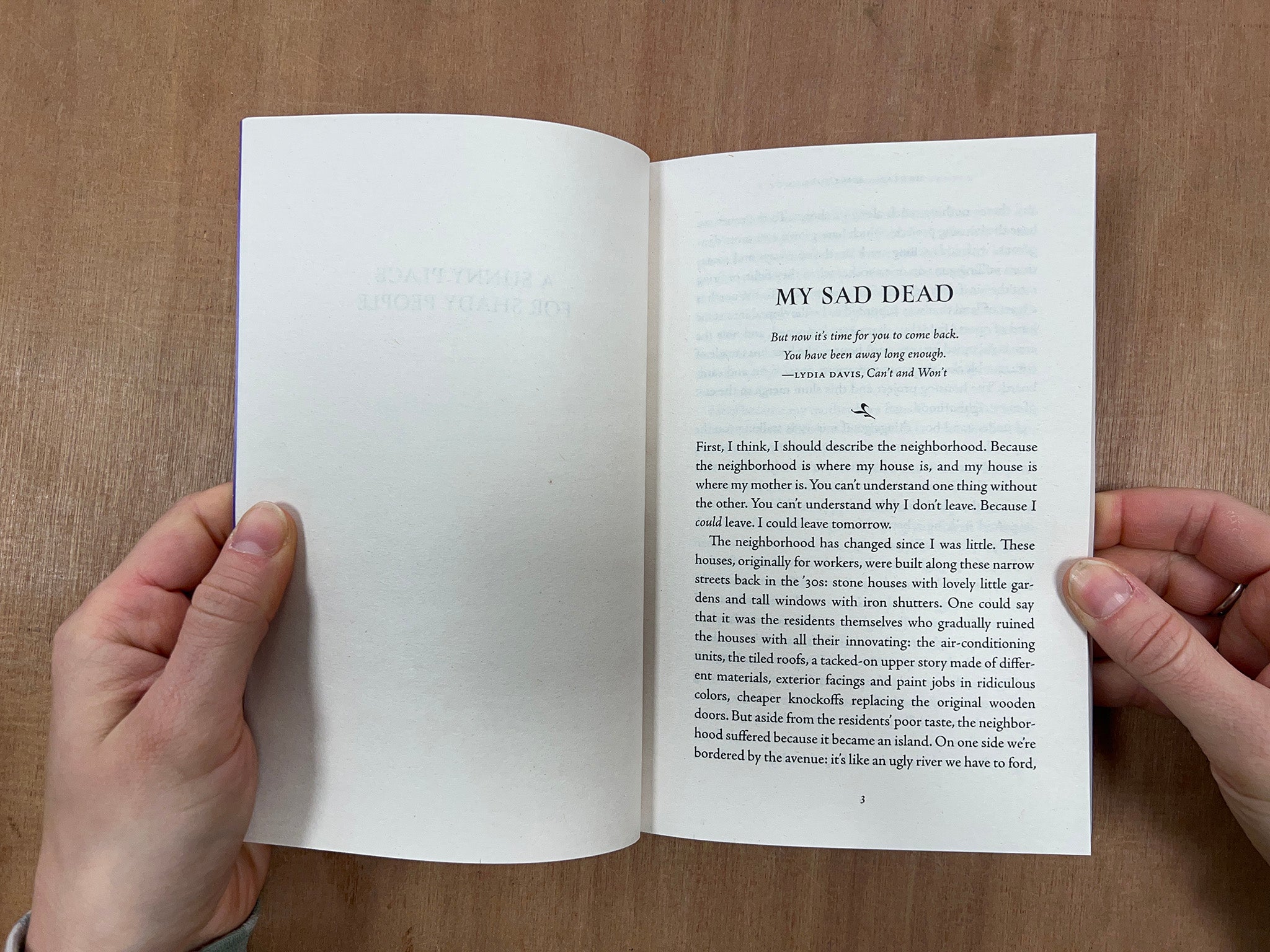 A SUNNY PLACE FOR SHADY PEOPLE by Mariana Enriquez