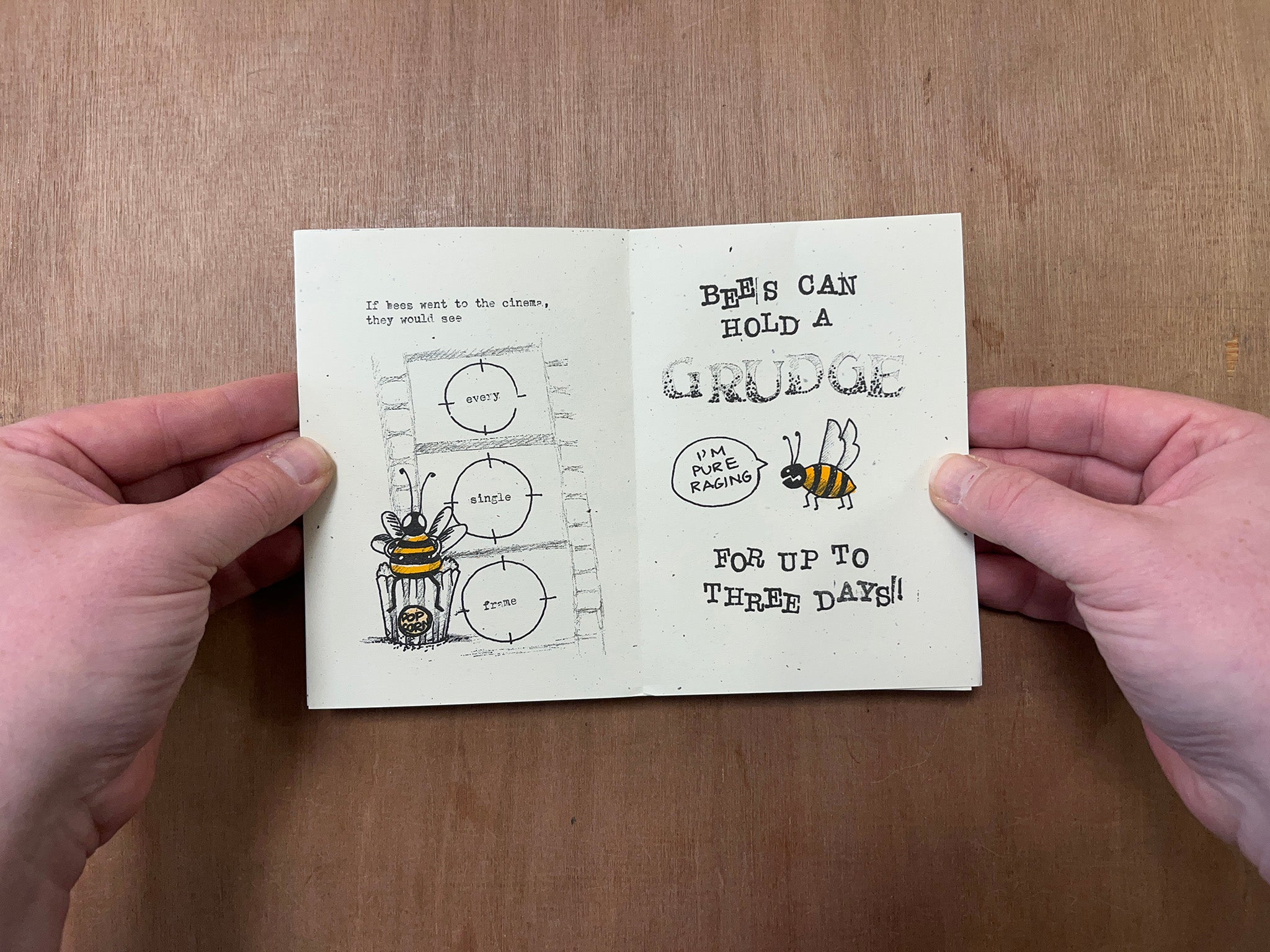 A TINY BOOK ABOUT BEES by Veronica Ferguson