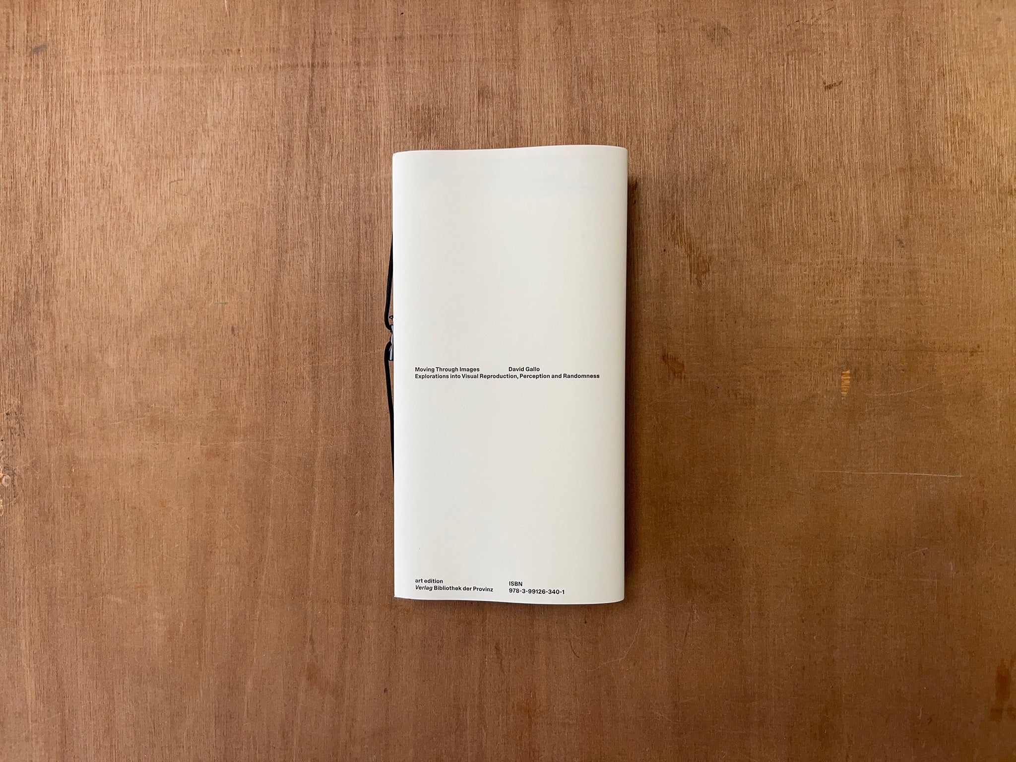 MOVING THROUGH IMAGES: EXPLORATIONS INTO VISUAL REPRODUCTION, PERCEPTION AND RANDOMNESS by David Gallo