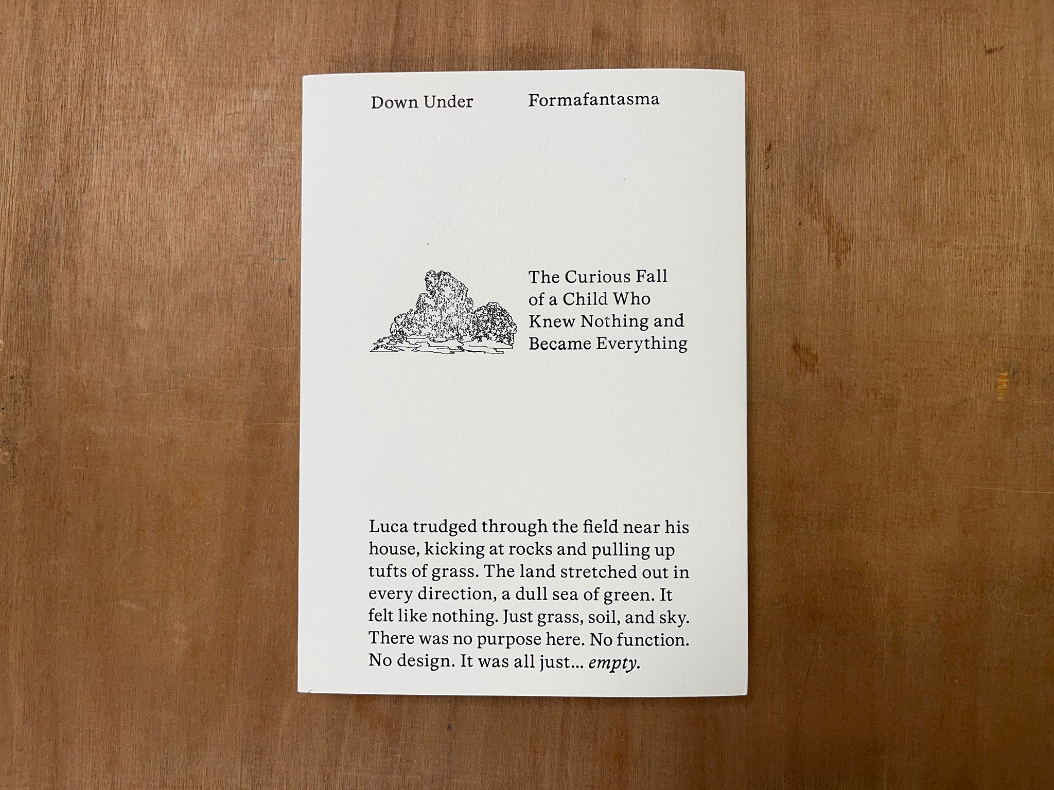 DOWN UNDER – THE CURIOUS FALL OF A CHILD WHO KNEW NOTHING AND BECAME EVERYTHING by