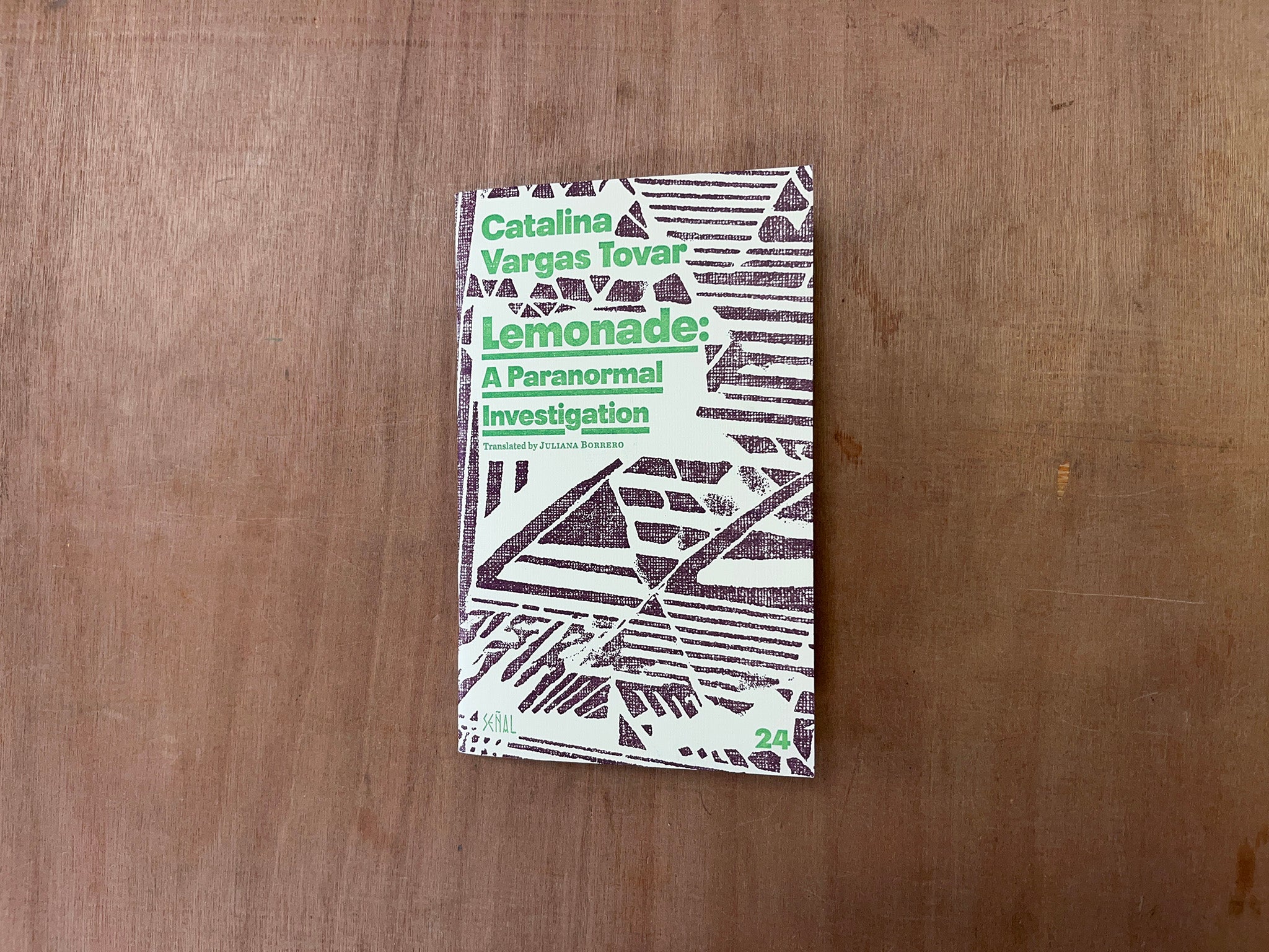 LEMONADE: A PARANORMAL INVESTIGATION by Catalina Vargas Tovar