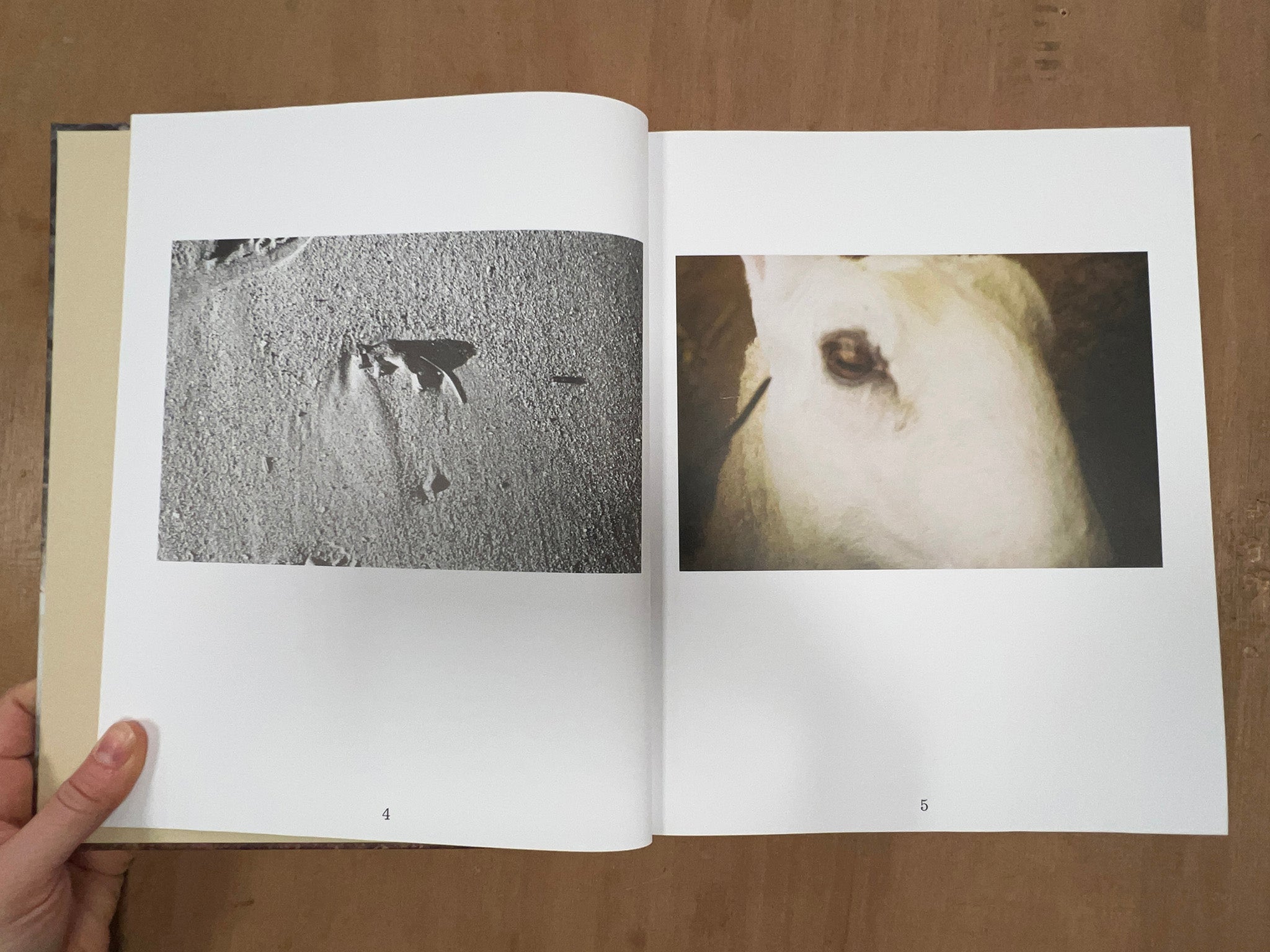 THE TRUTH AND UNTRUTH OF STONES by Lucy Skaer