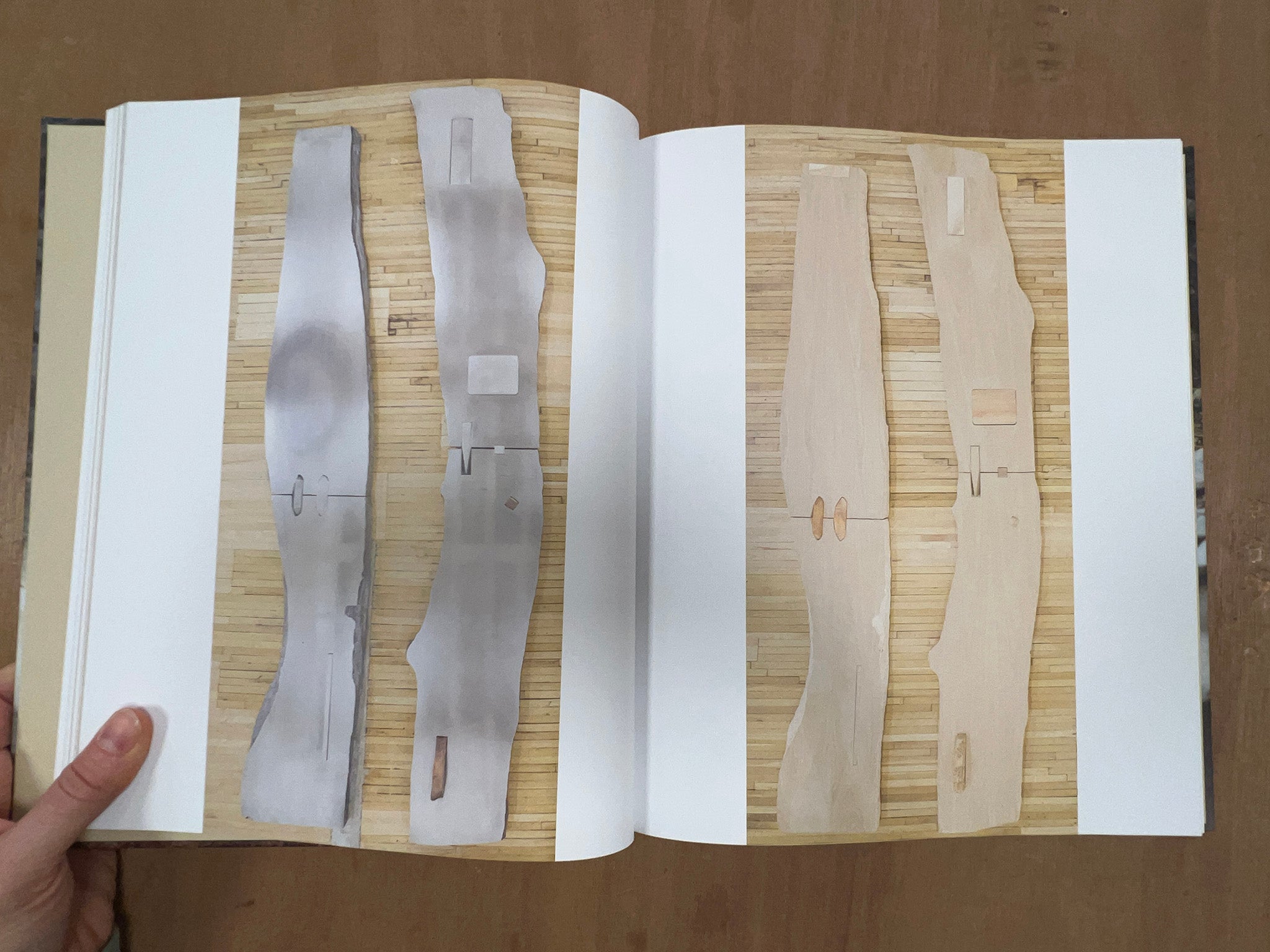 THE TRUTH AND UNTRUTH OF STONES by Lucy Skaer