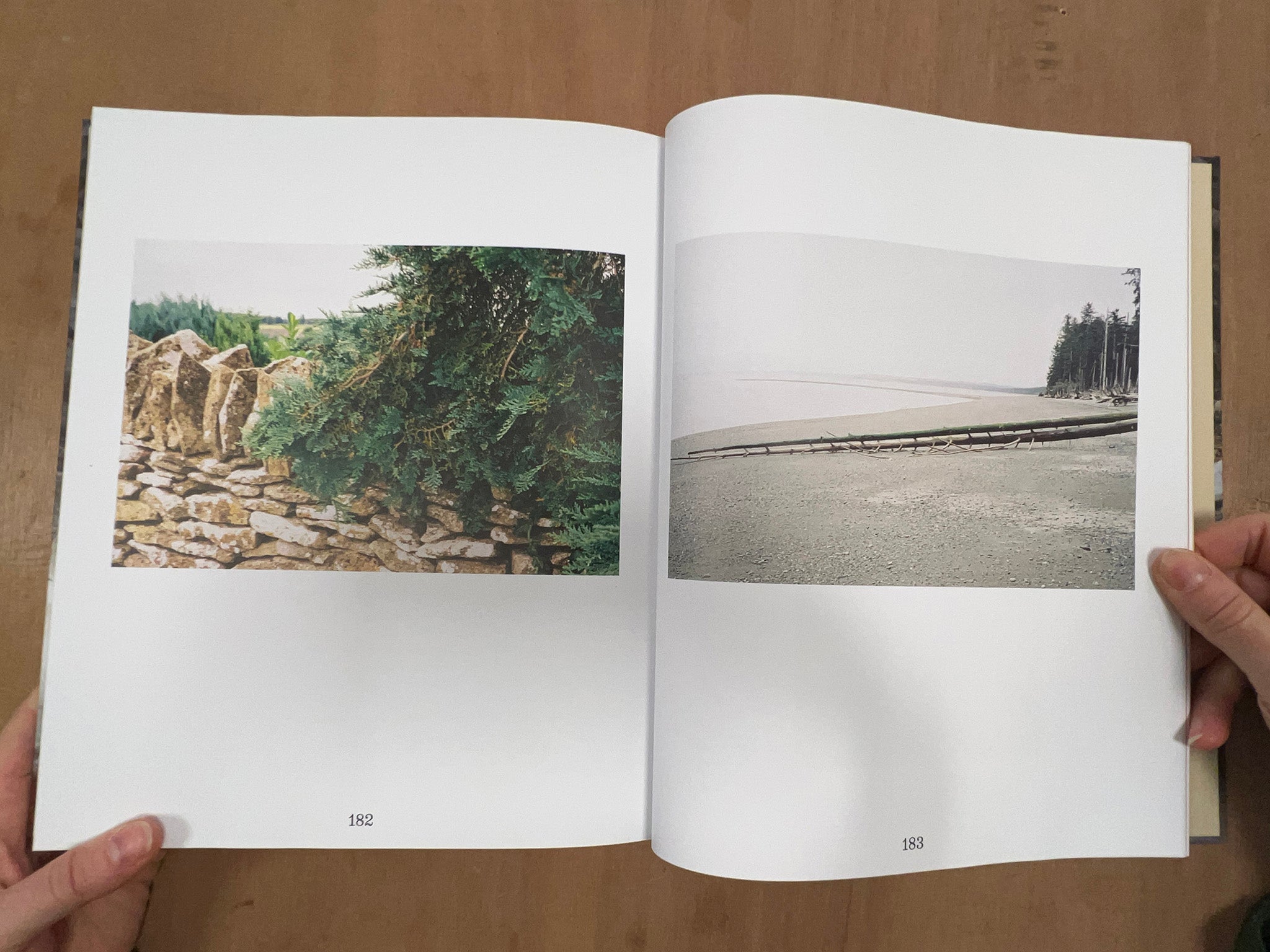 THE TRUTH AND UNTRUTH OF STONES by Lucy Skaer