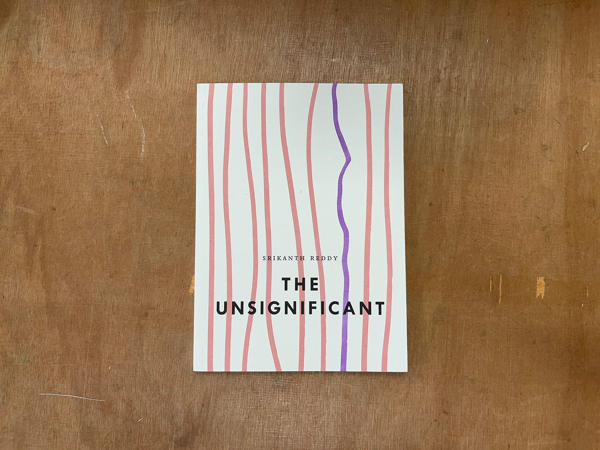 THE UNSIGNIFICANT: THREE TALKS ON POETRY AND PICTURES by Srikanth Reddy