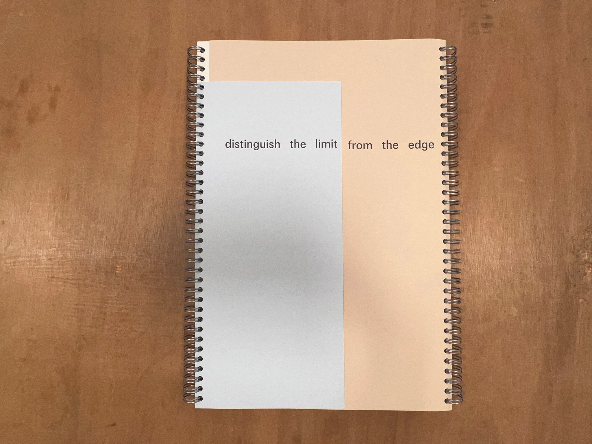 DISTINGUISH THE LIMIT FROM THE EDGE by Theresa Hak Kyung Cha & Jimmy Robert