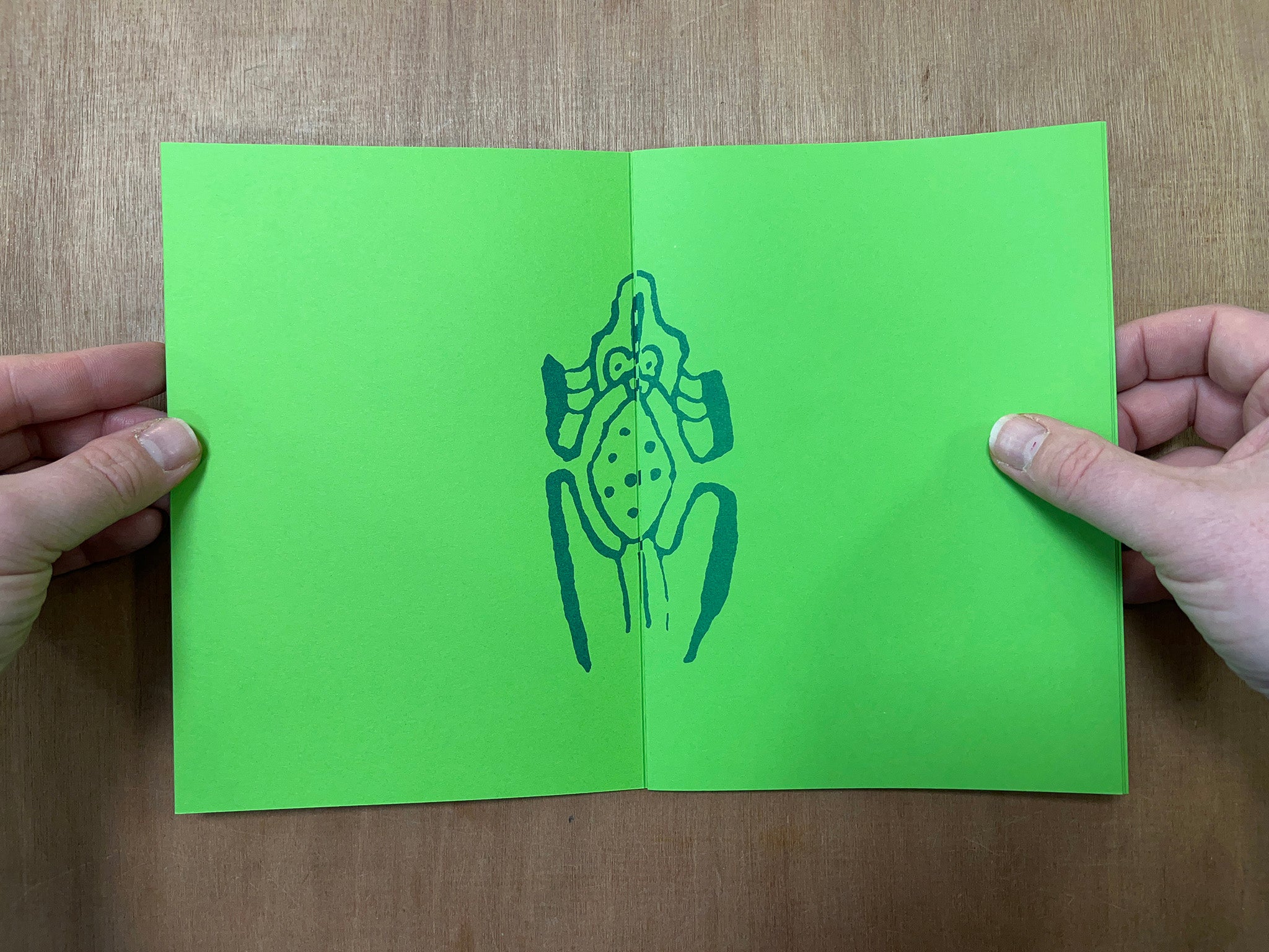 GRENOUILLES (FROGS) by Antoine Duchenet