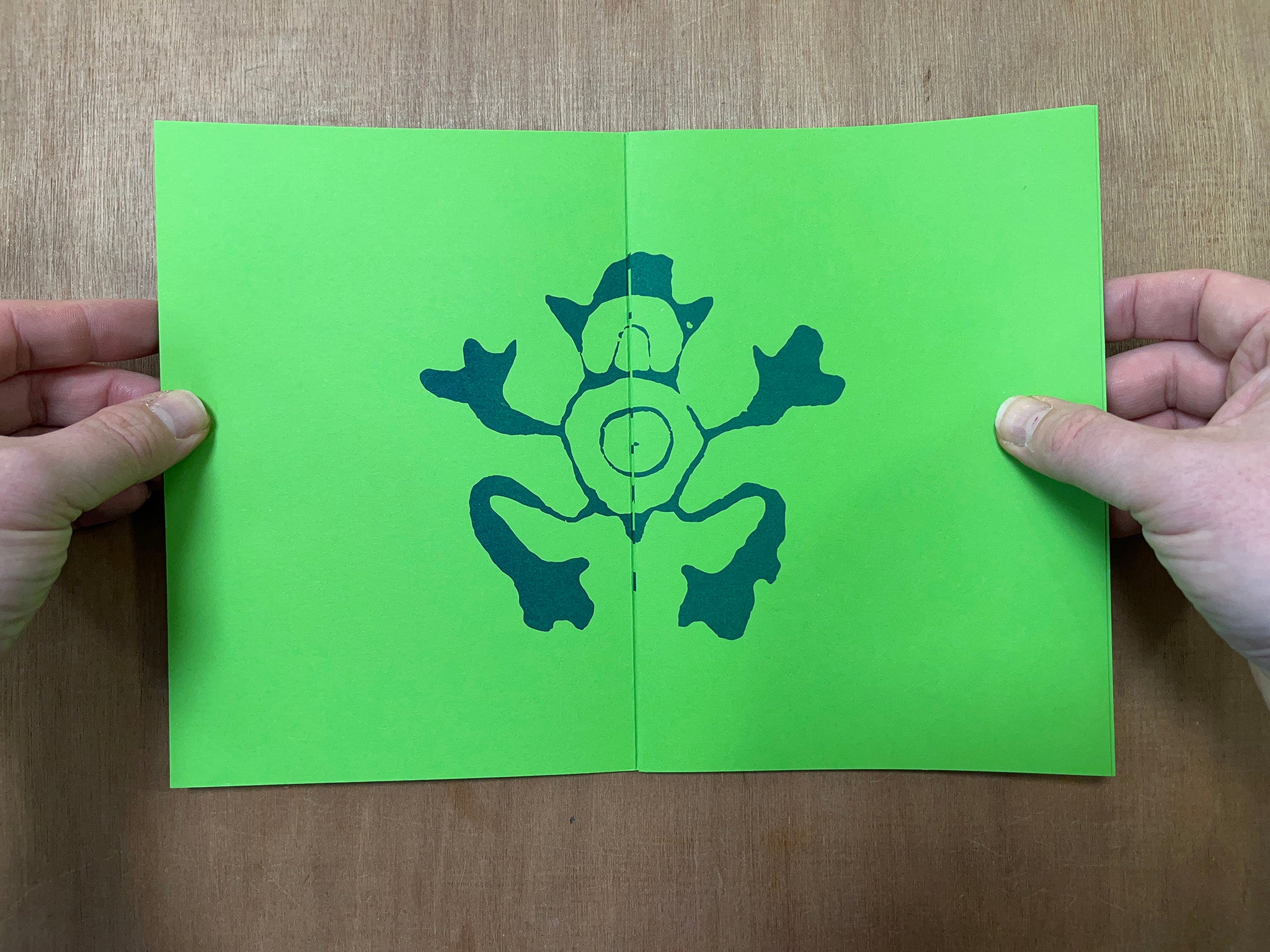 GRENOUILLES (FROGS) by Antoine Duchenet