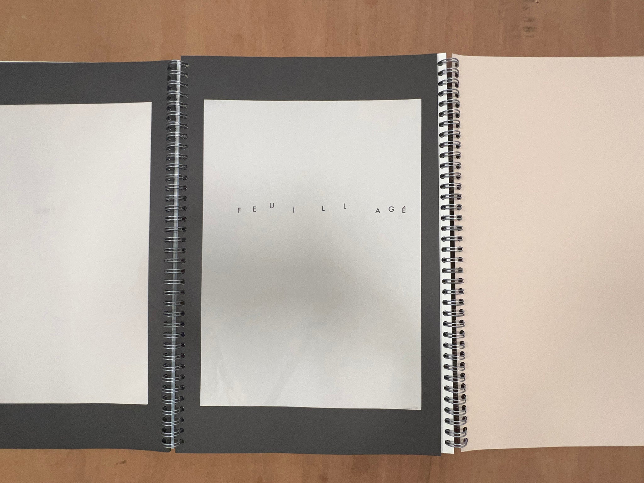 DISTINGUISH THE LIMIT FROM THE EDGE by Theresa Hak Kyung Cha & Jimmy Robert