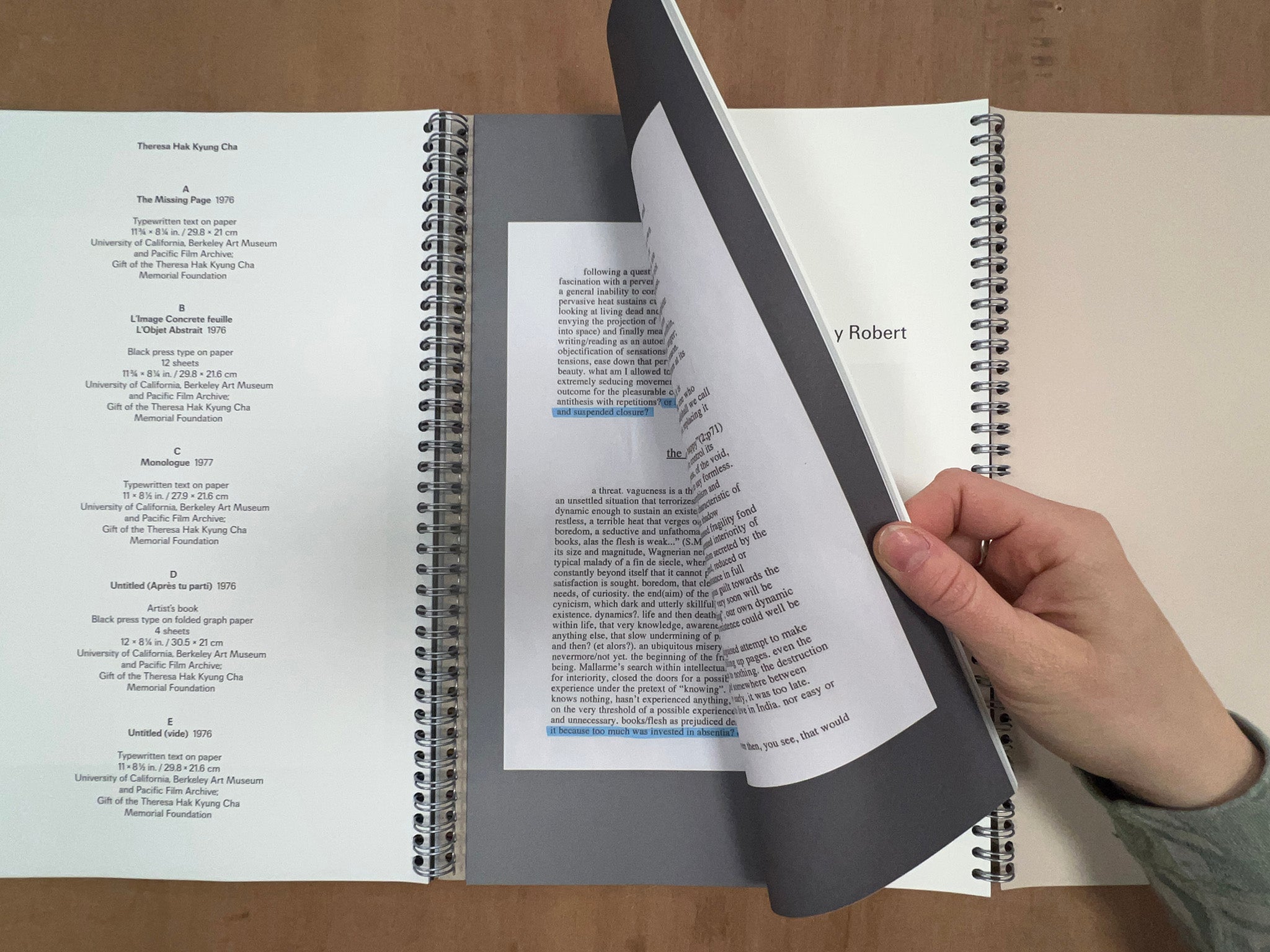 DISTINGUISH THE LIMIT FROM THE EDGE by Theresa Hak Kyung Cha & Jimmy Robert