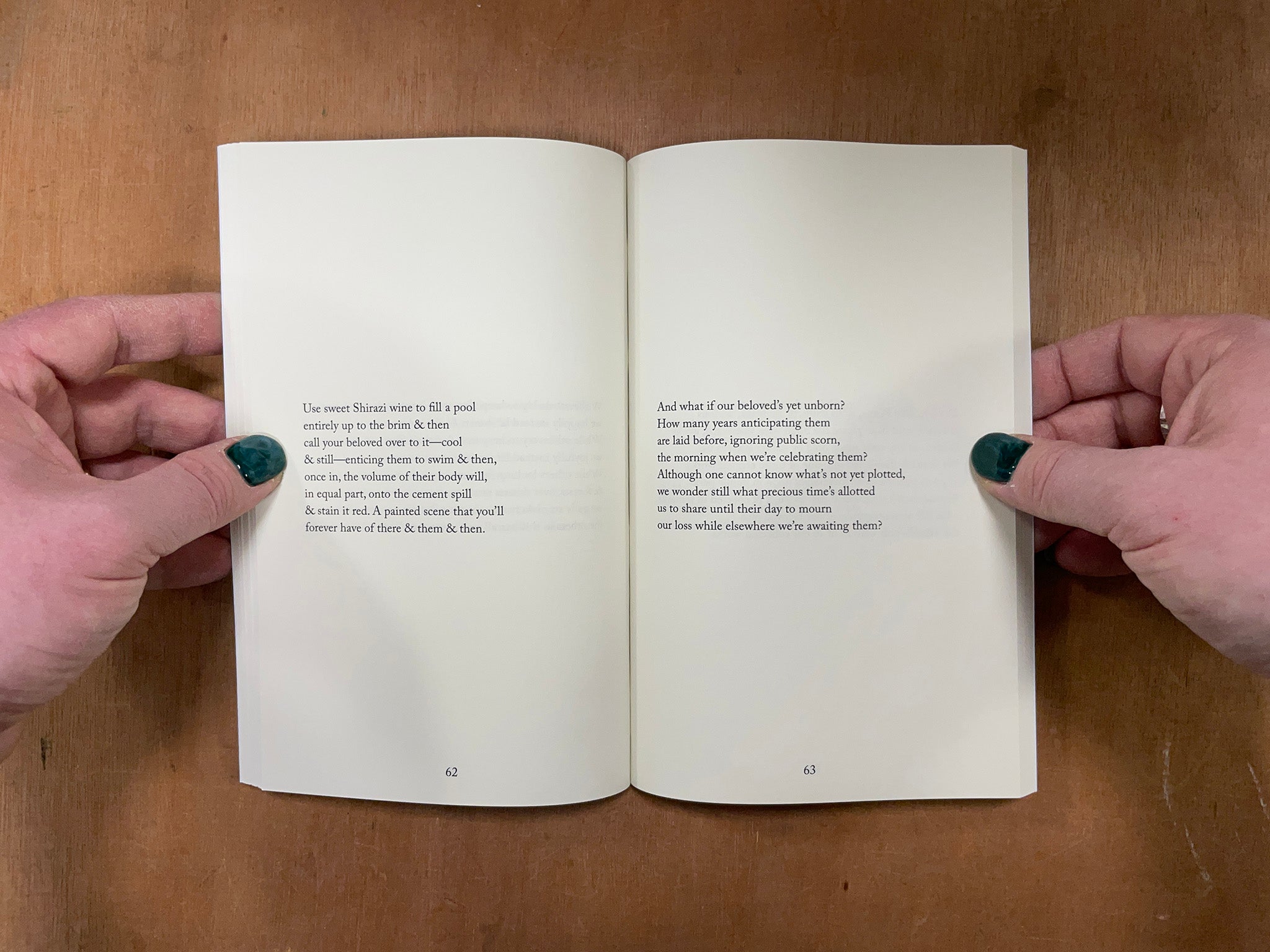 FEAST OF THE ASS by Jahan Khajavi – Good Press — good books & more