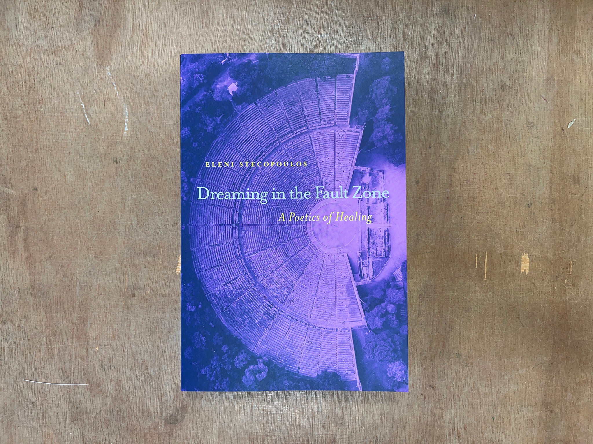 DREAMING IN THE FAULT ZONE: A POETICS OF HEALING by Eleni Stecopoulos