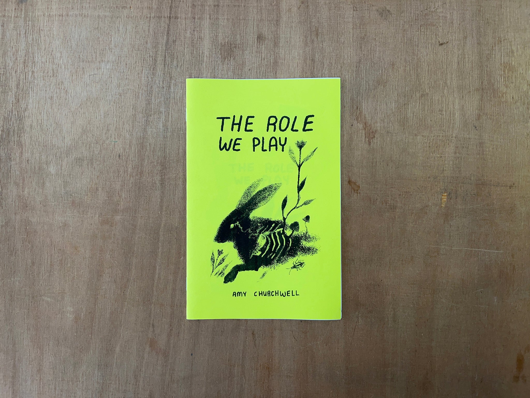THE ROLE WE PLAY by Amy Churchwell