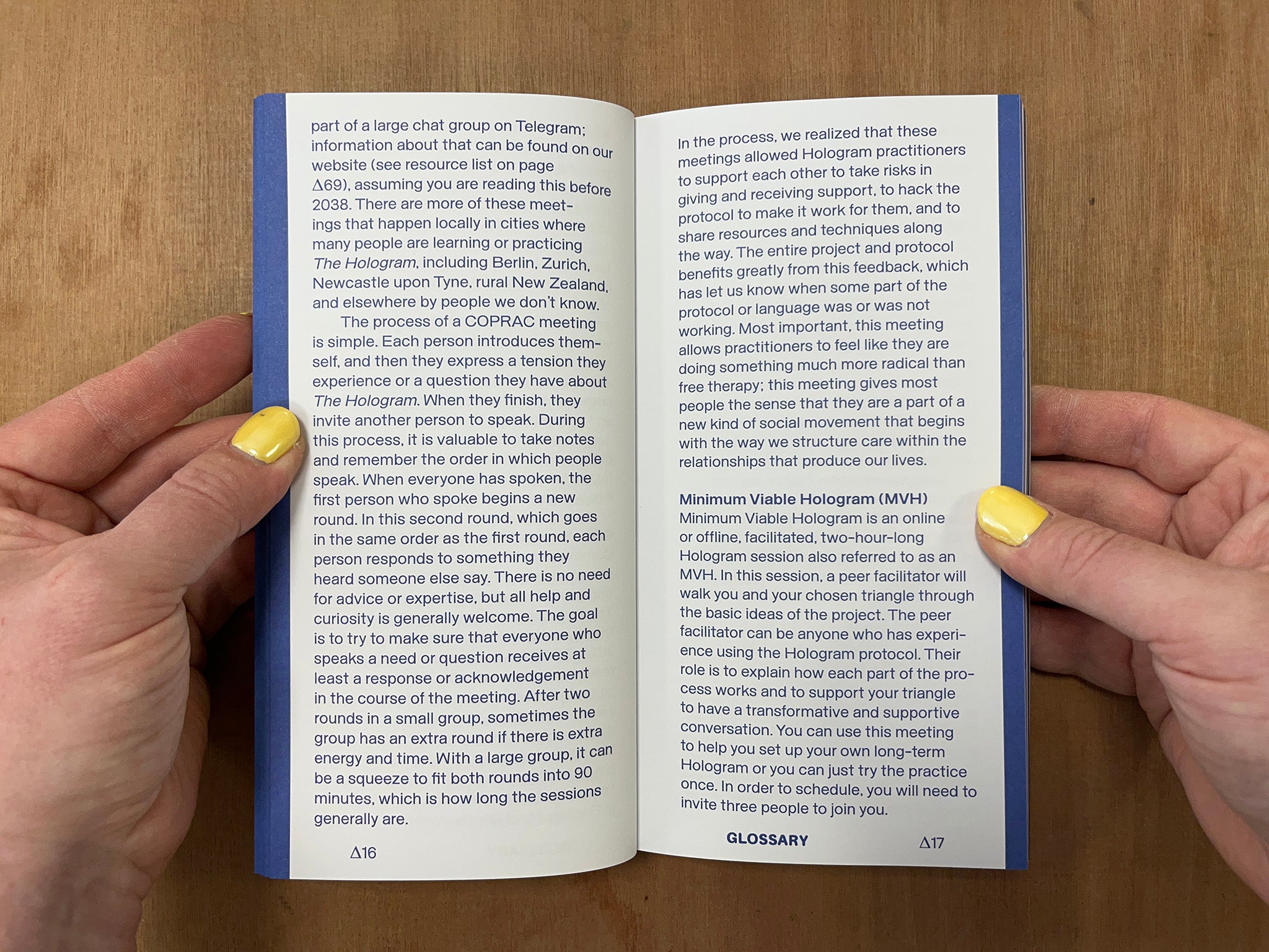 IT'S TOO LATE. DO IT ANYWAY! by Cassie Thornton & Magdalena Jadwiga Härtelova (Eds.)
