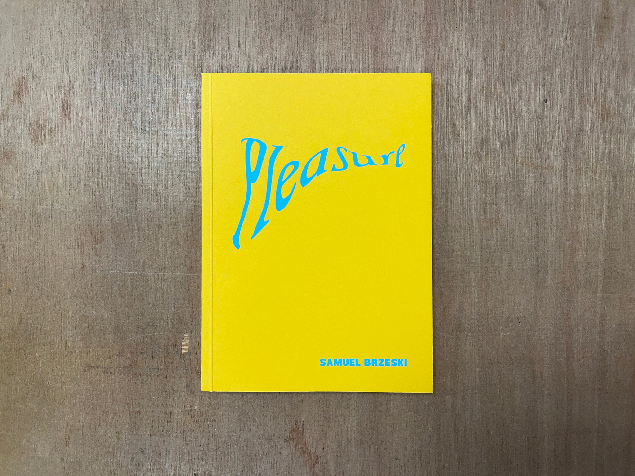 PLEASURE by Samuel Brzeski
