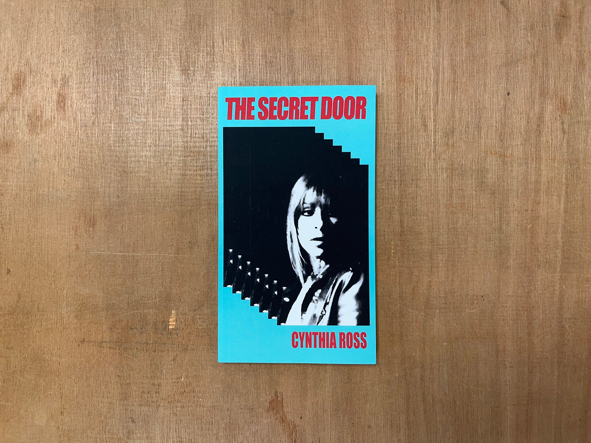 THE SECRET DOOR by Cynthia Ross