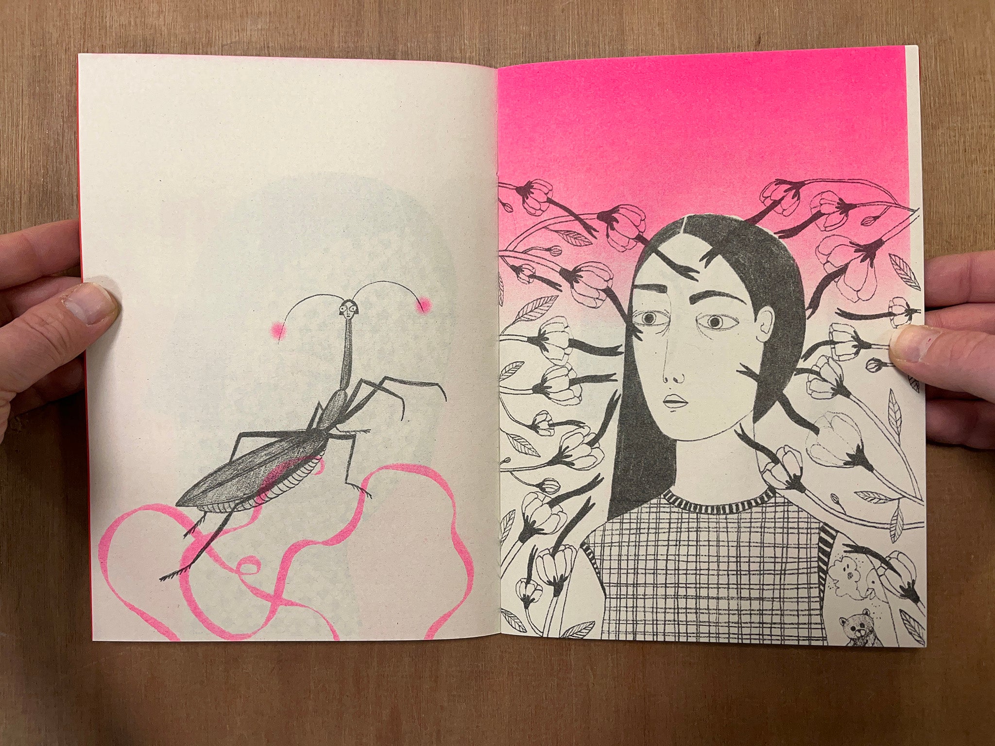 ECDISIS by Irana Douer