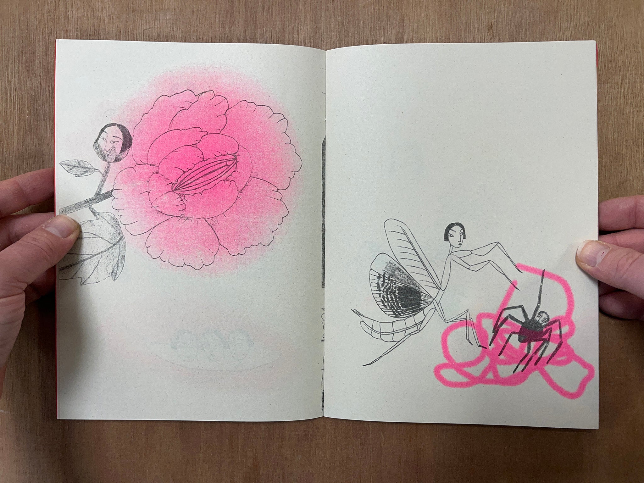 ECDISIS by Irana Douer