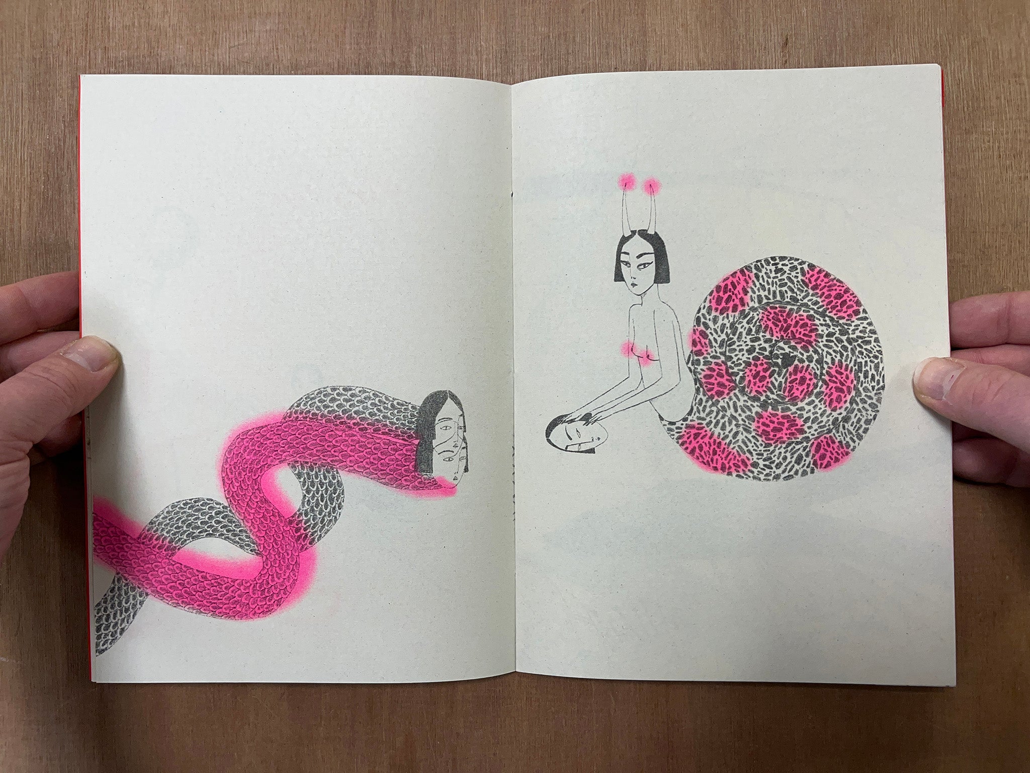 ECDISIS by Irana Douer