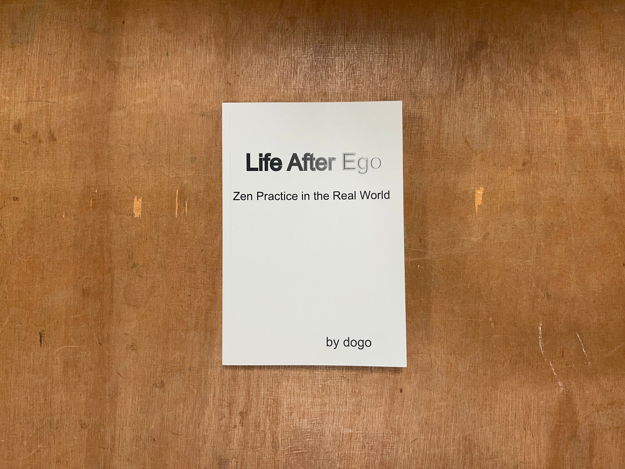 LIFE AFTER EGO: ZEN PRACTICE IN THE REAL WORLD by dogo