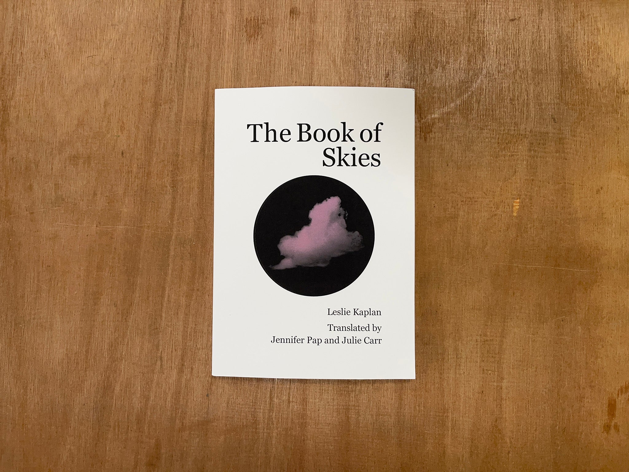 THE BOOK OF SKIES by Leslie Kaplan