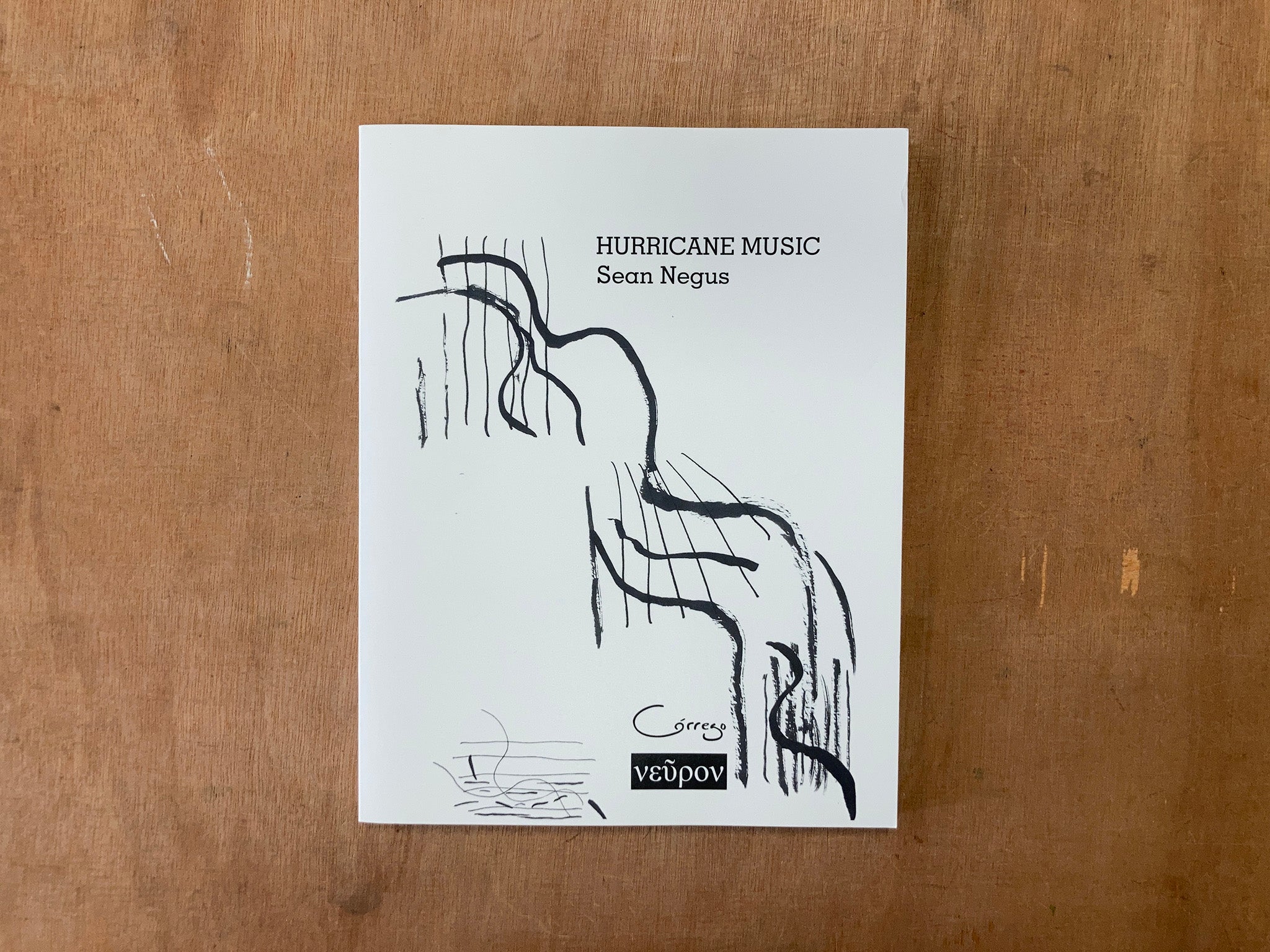 HURRICANE MUSIC by Sean Negus Good Press — good books & more