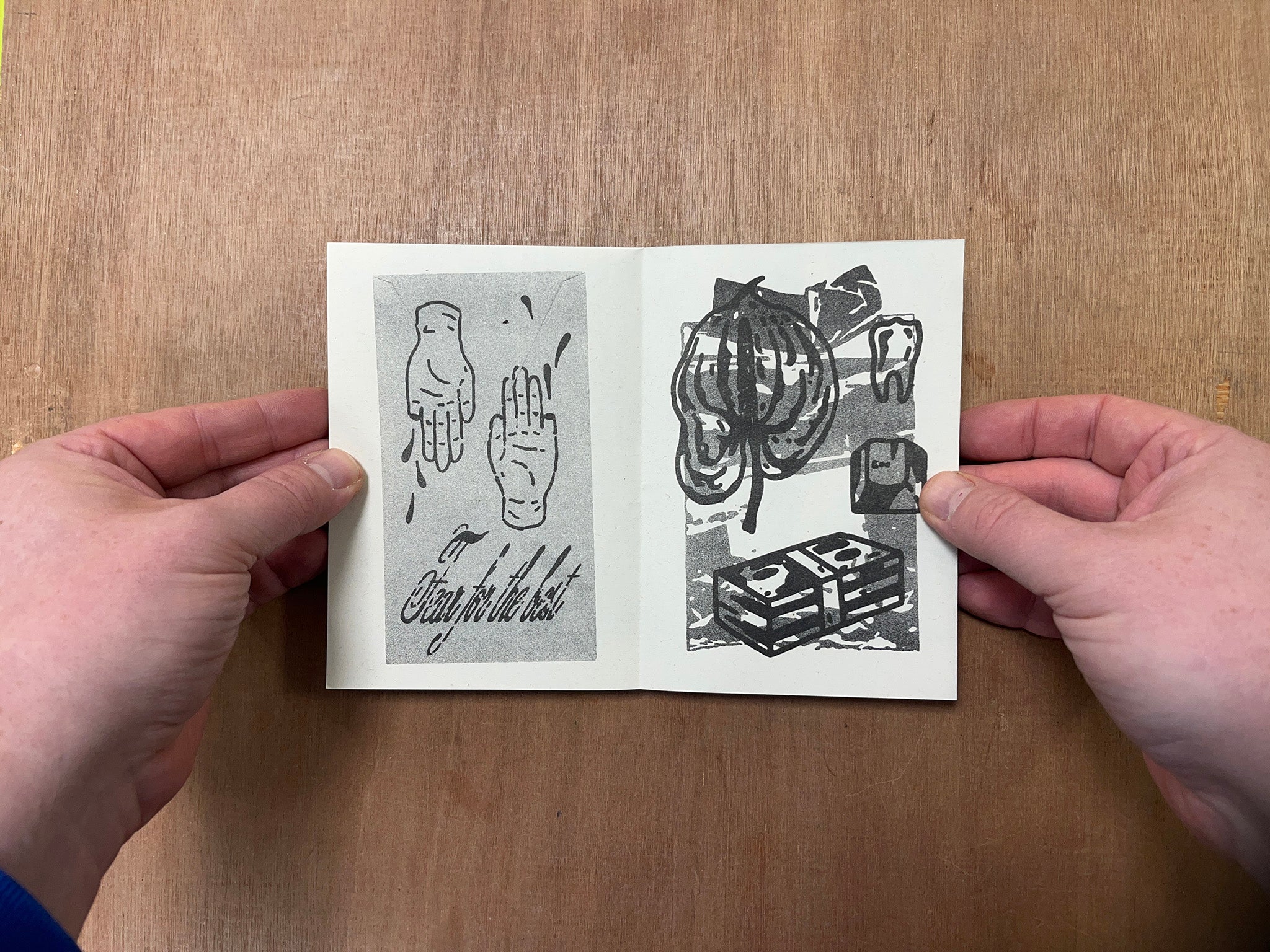 HARDWARE/SOFTWARE by Eva Vitkute