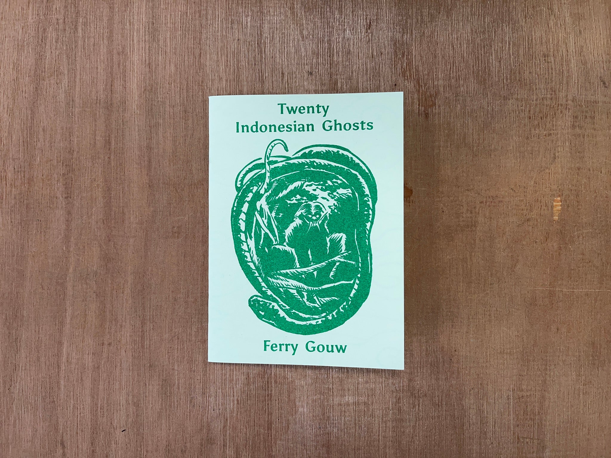 TWENTY INDONESIAN GHOSTS by Ferry Gouw