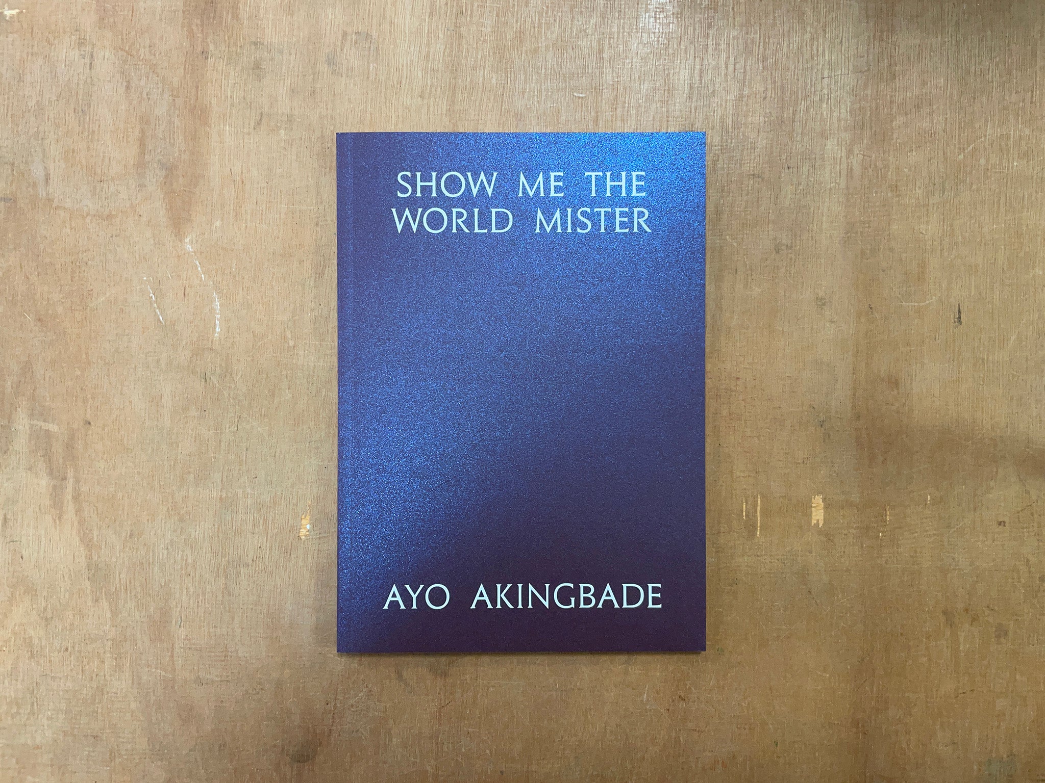 SHOW ME THE WORLD MISTER by Ayo Akingbade