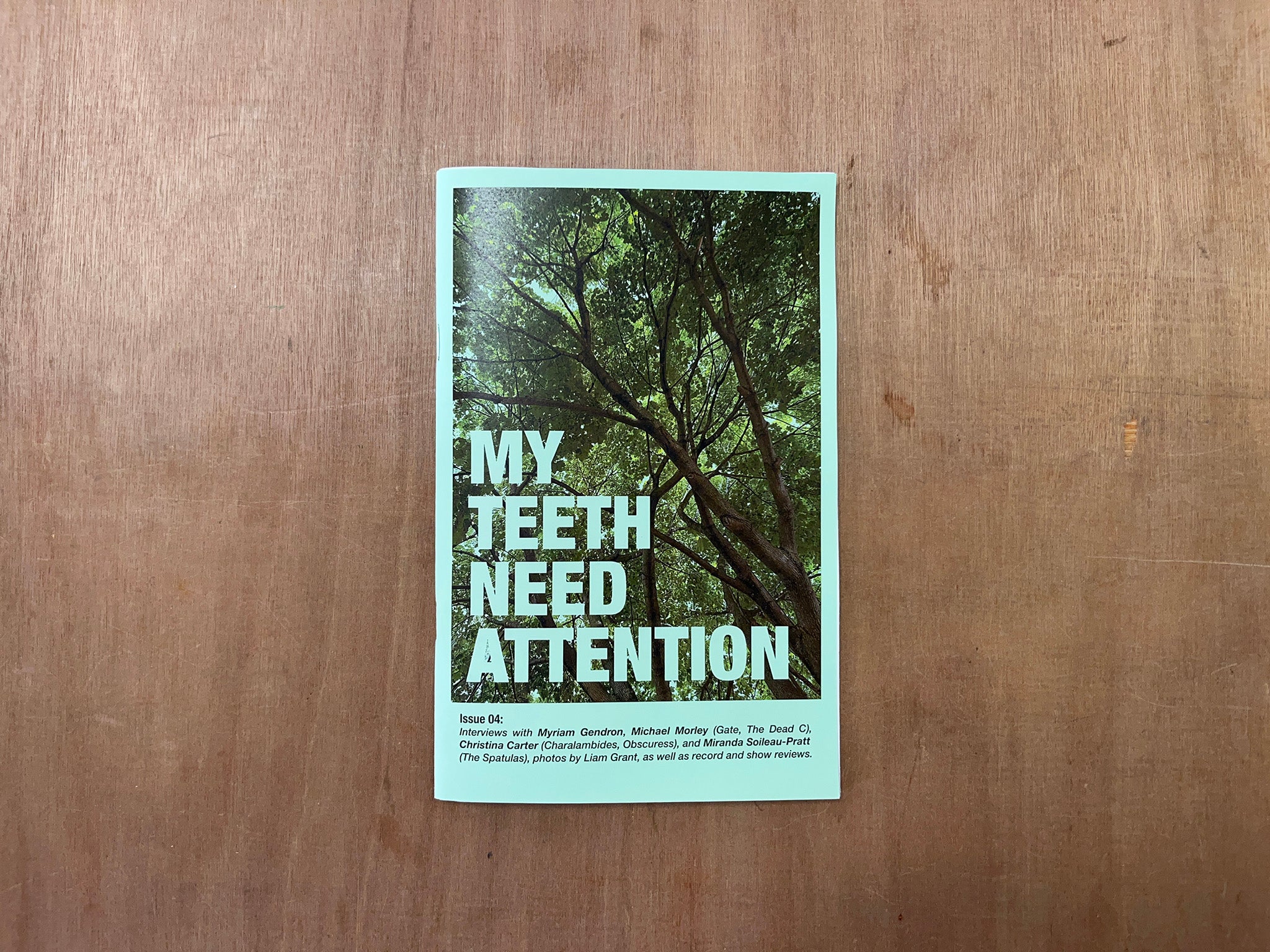 MY TEETH NEED ATTENTION ISSUE #4