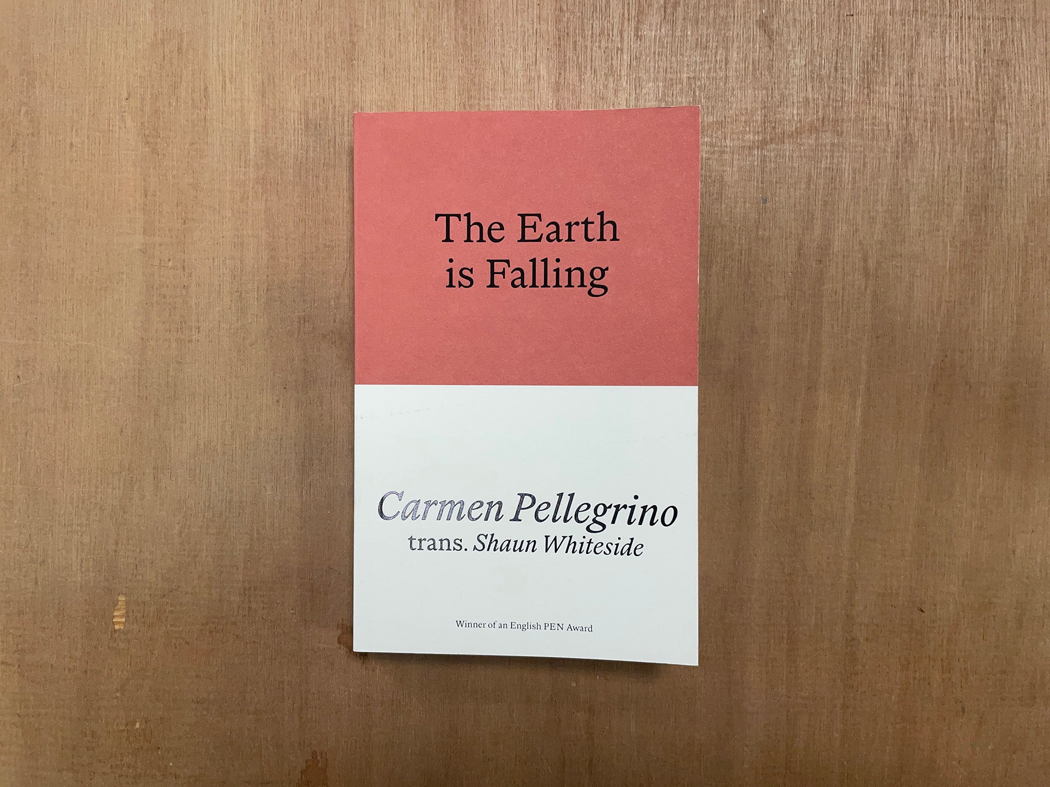 THE EARTH IS FALLING by Carmen Pellegrino