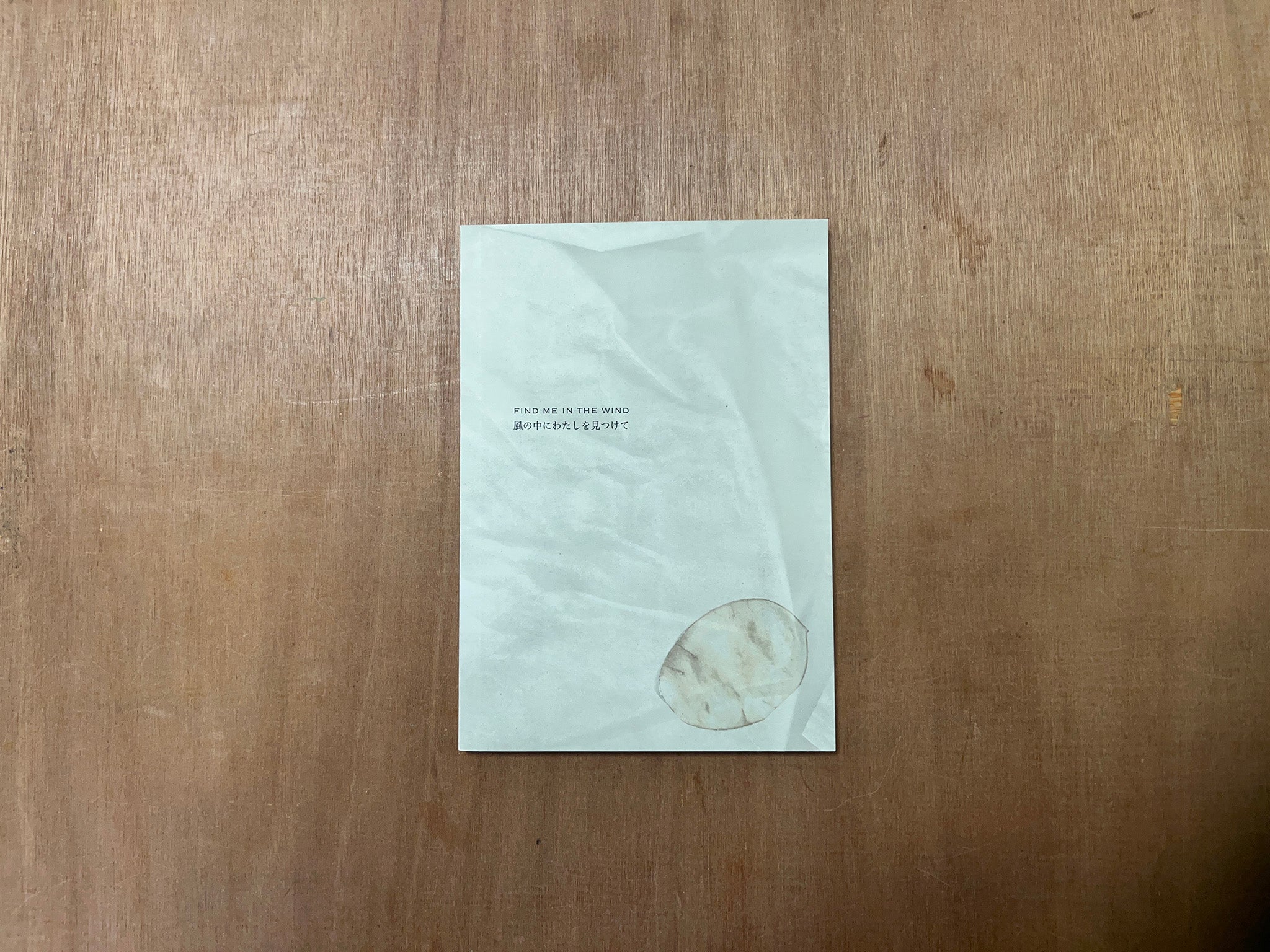 FIND ME IN THE WIND by emino